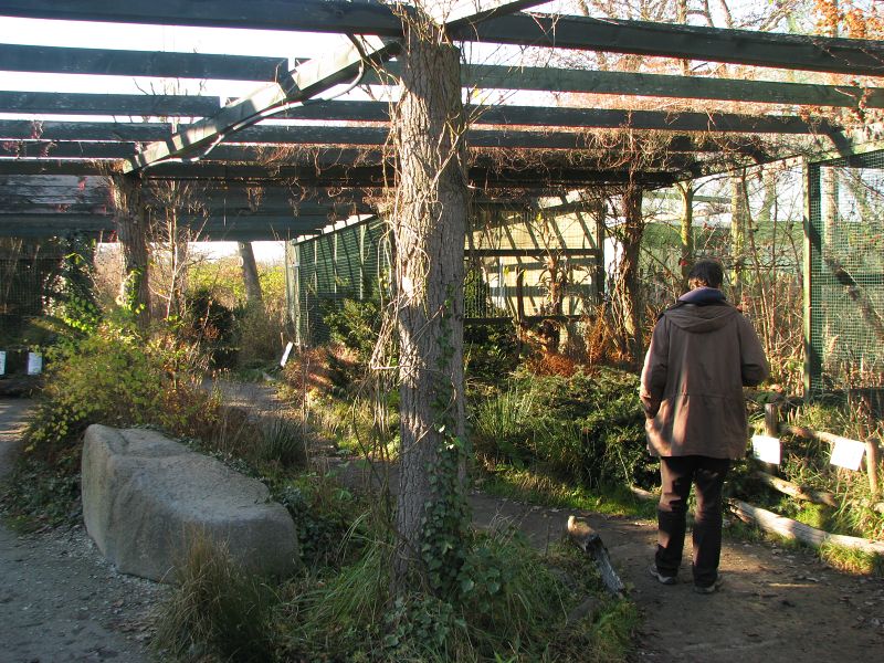 Owl aviaries