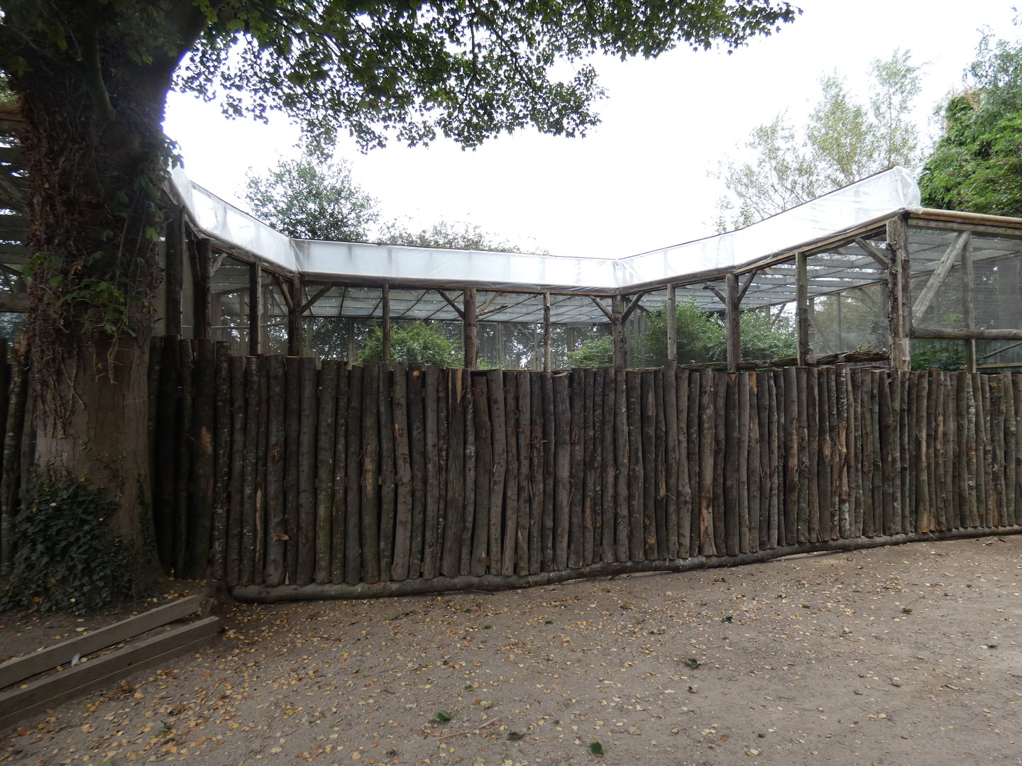 Owl aviaries
