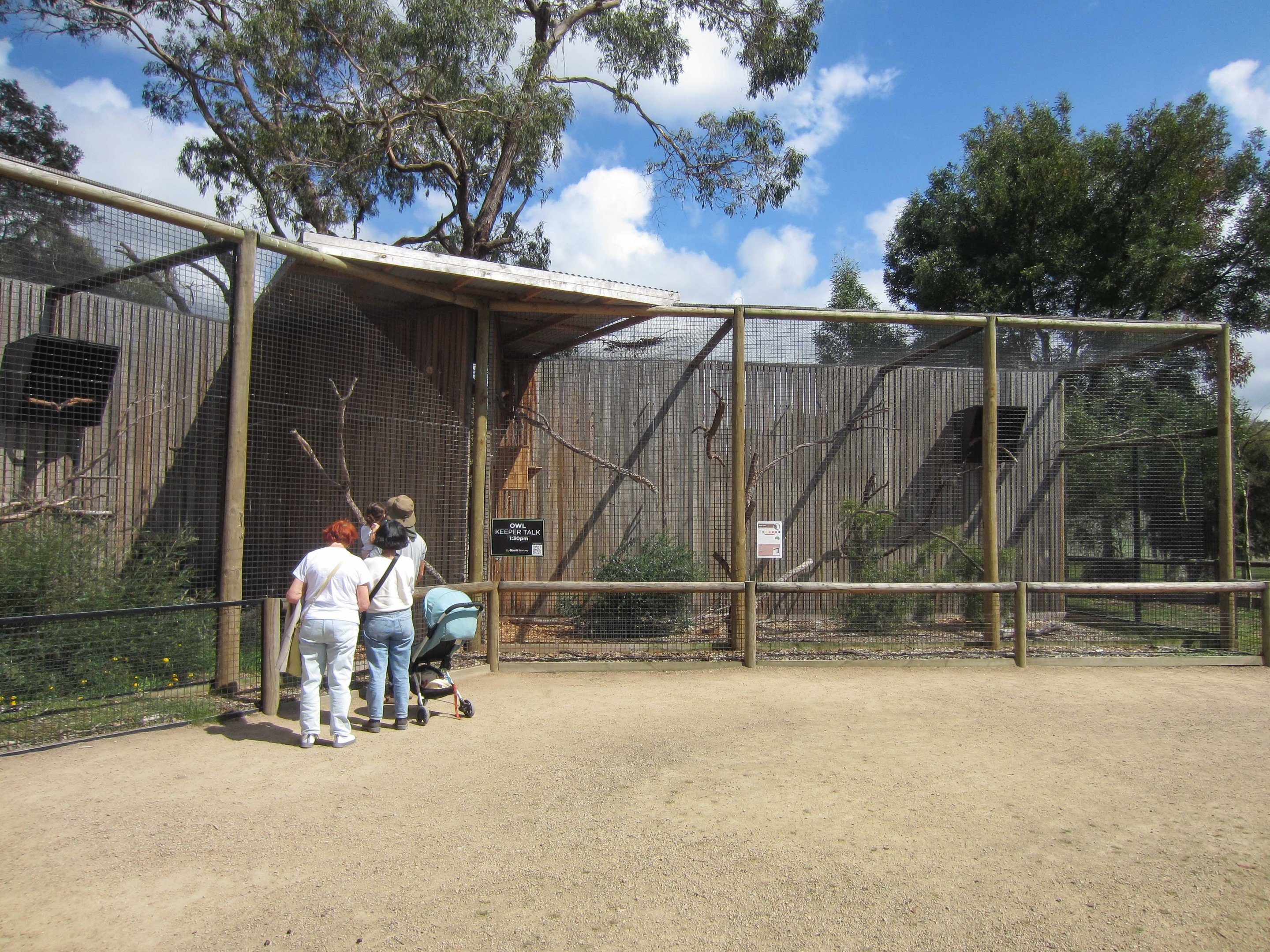 Owl aviaries