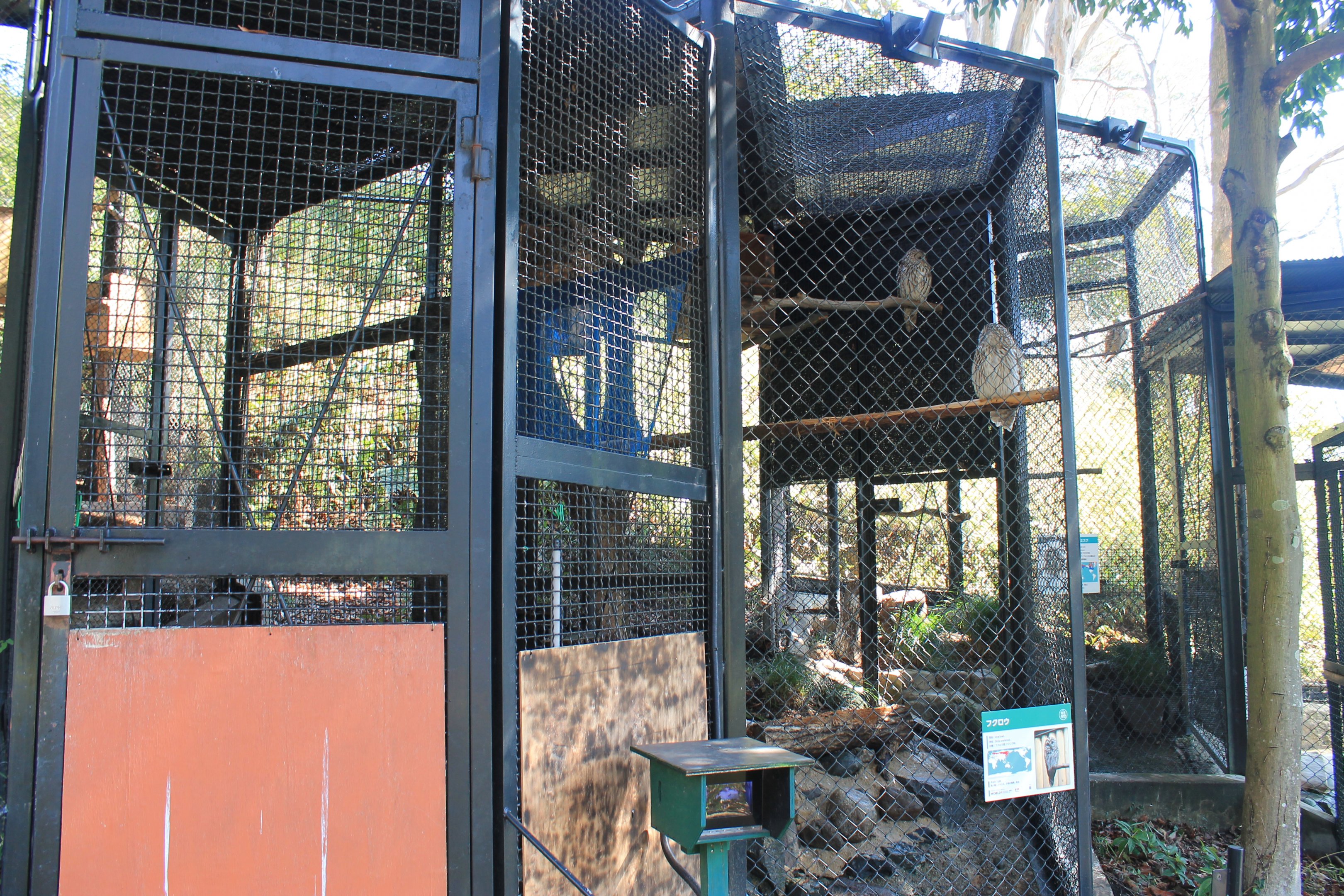 Owl aviaries