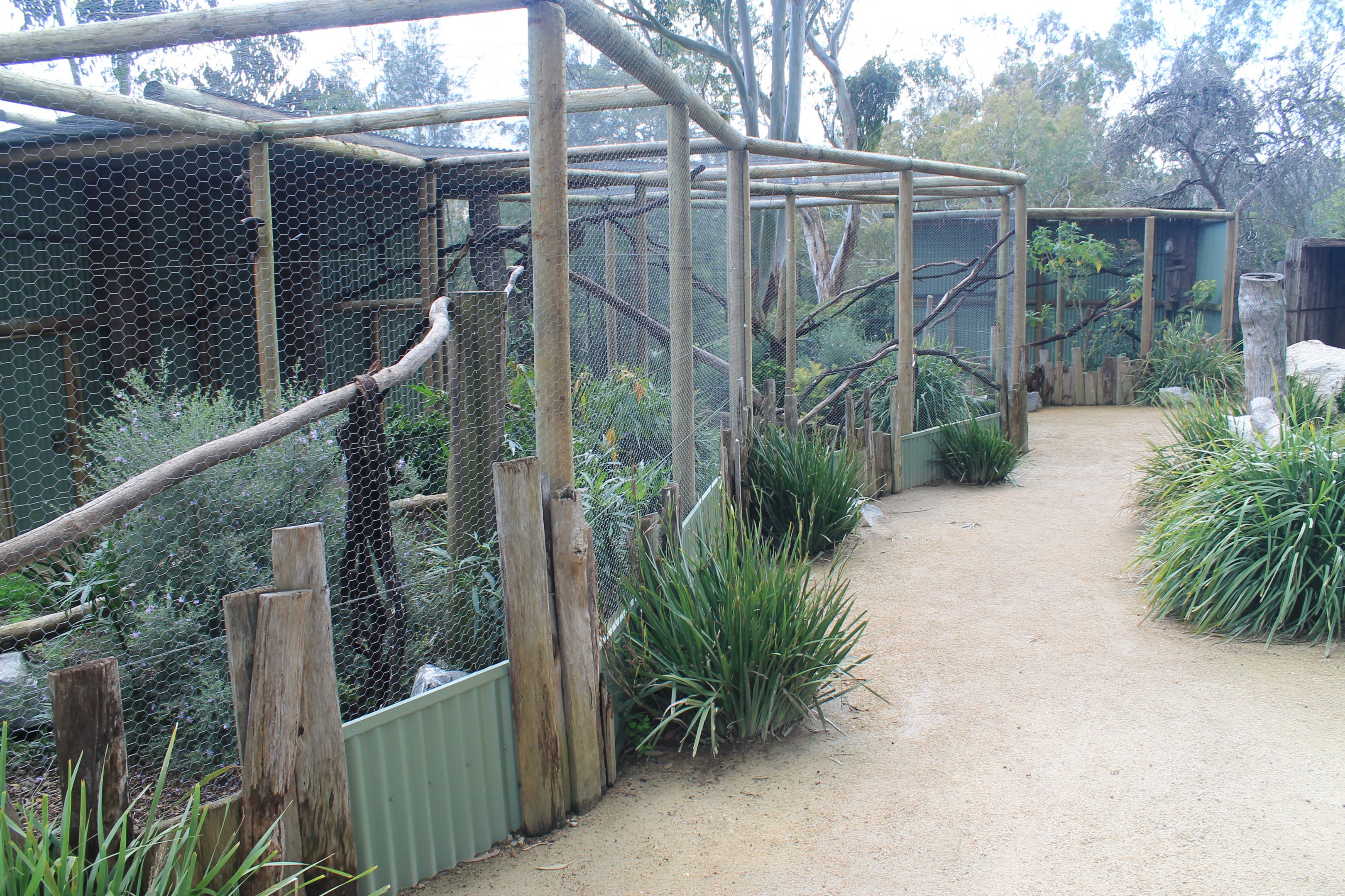 owl aviaries