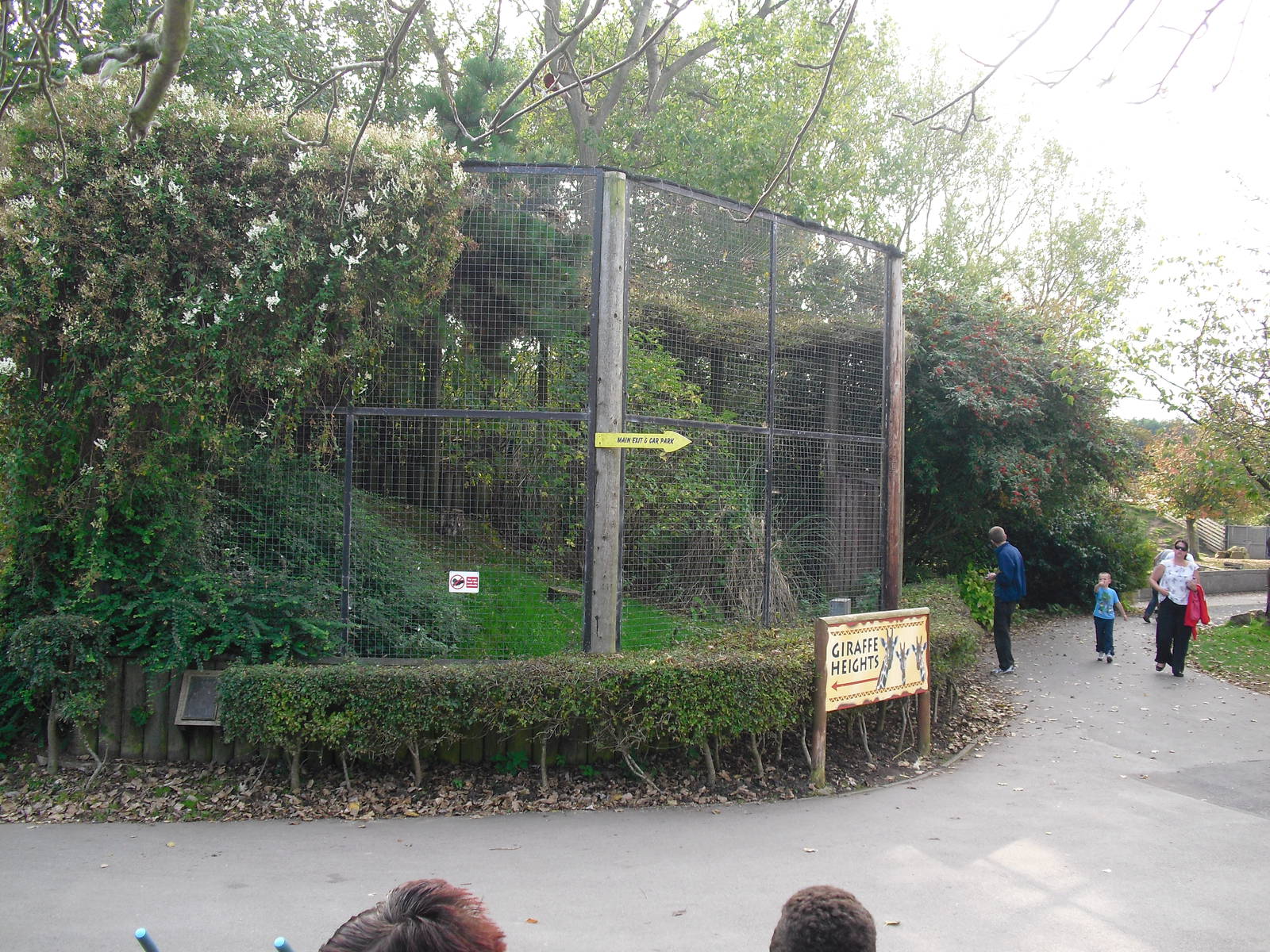 Owl Aviary - 01/10/2011