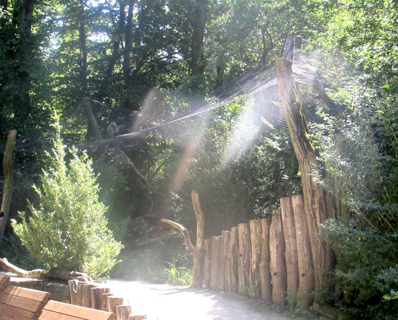 Owl aviary (1) - July/2017