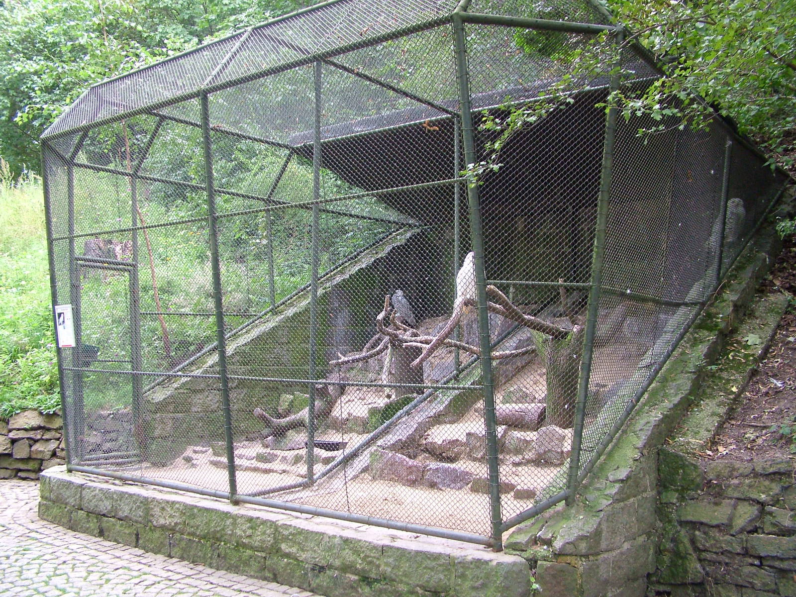 Owl Aviary at Halle, 04/09/11