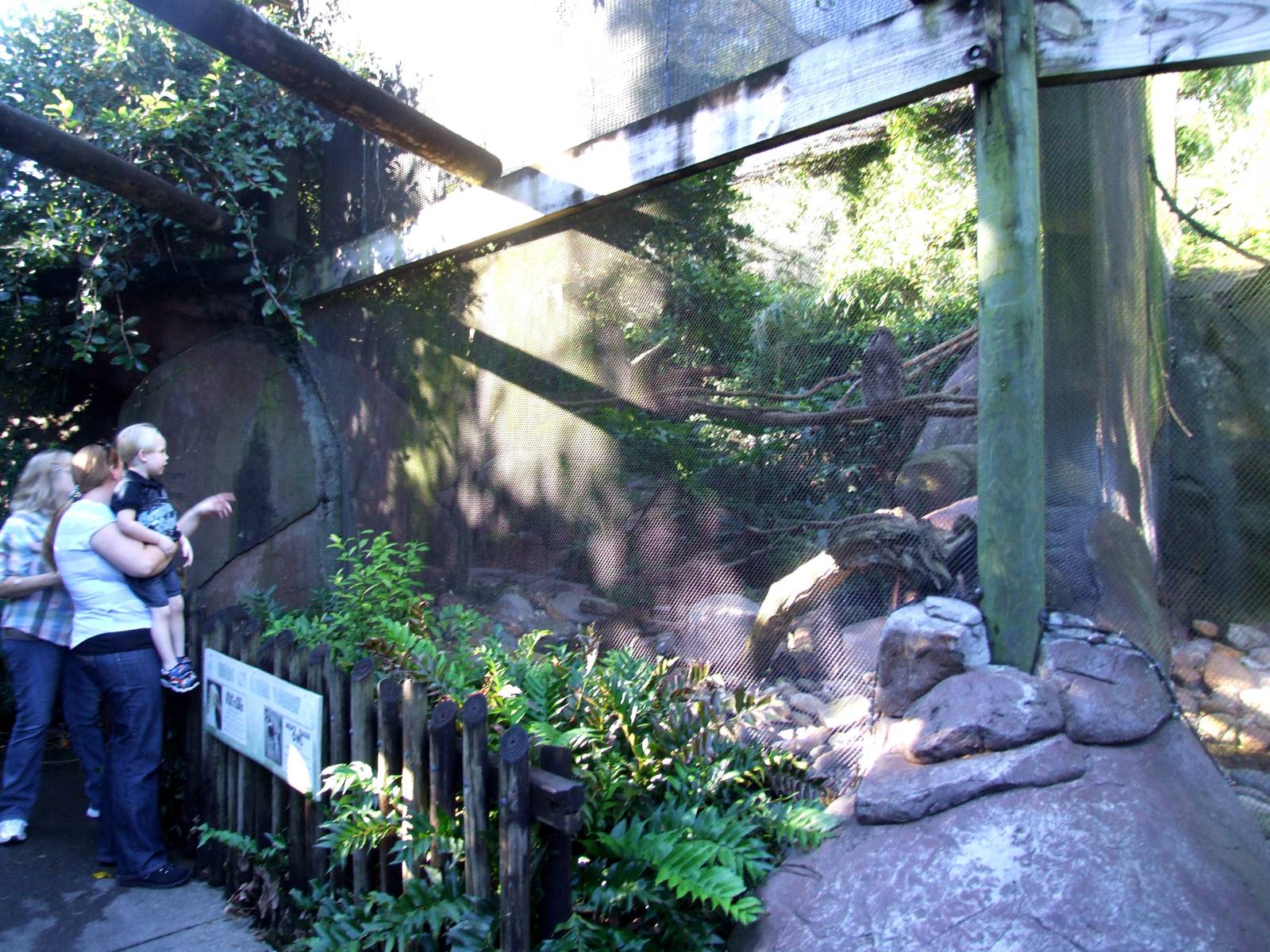 Owl Aviary at Jacksonville, 10/10/13