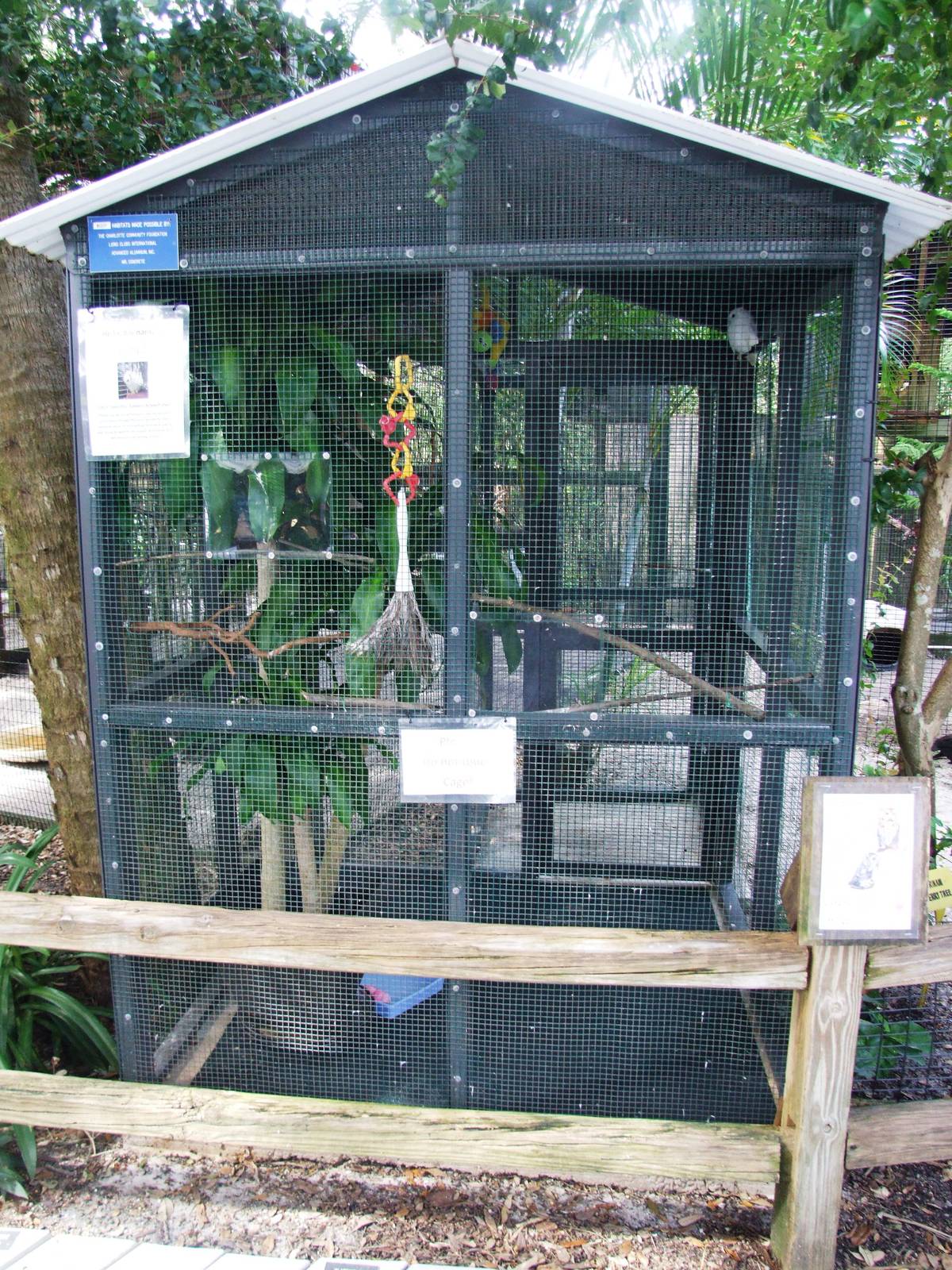 Owl Aviary at Peace River Wildlife Centre, 09/10/13