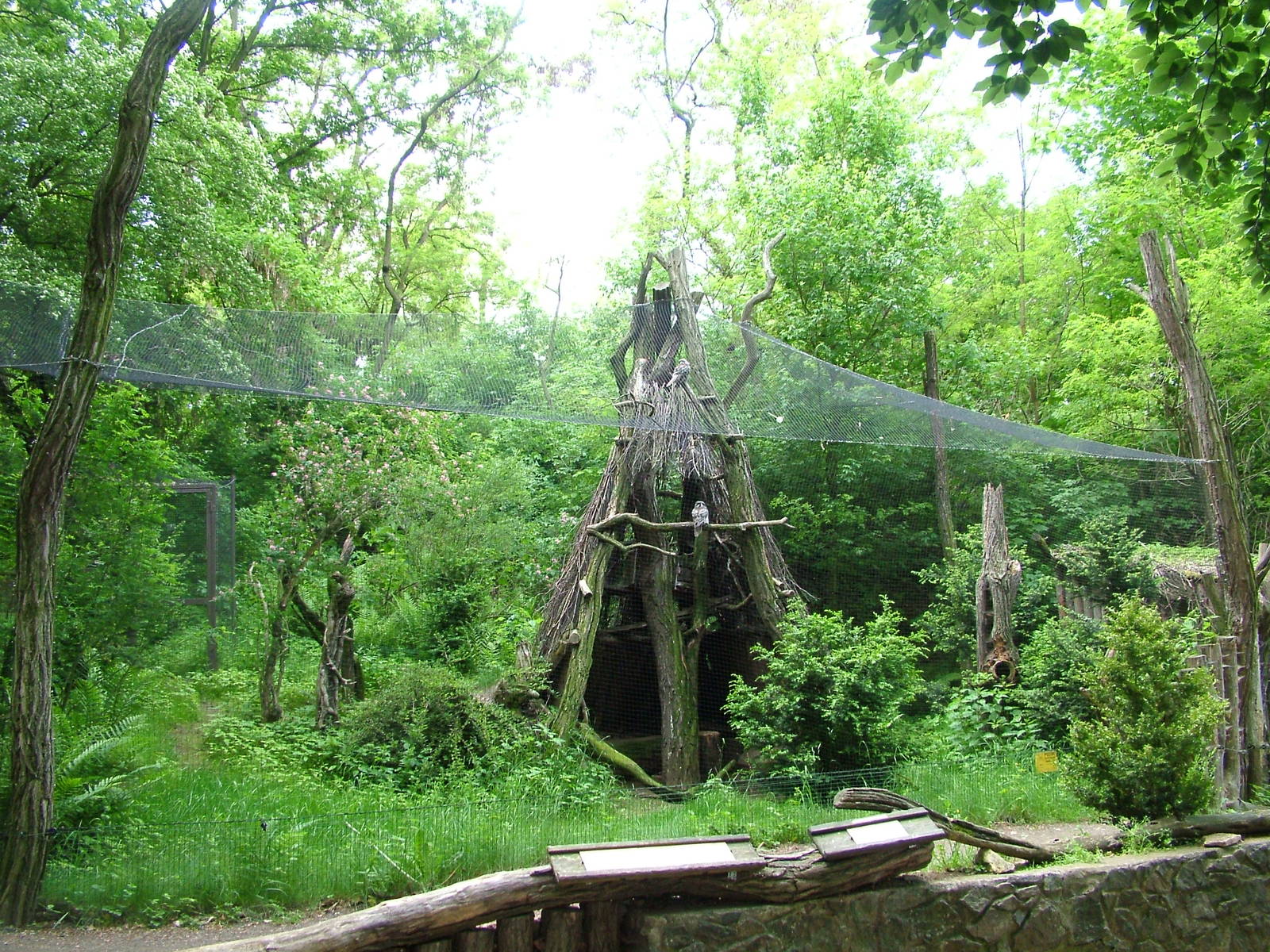 Owl aviary at Prague, 24/05/10