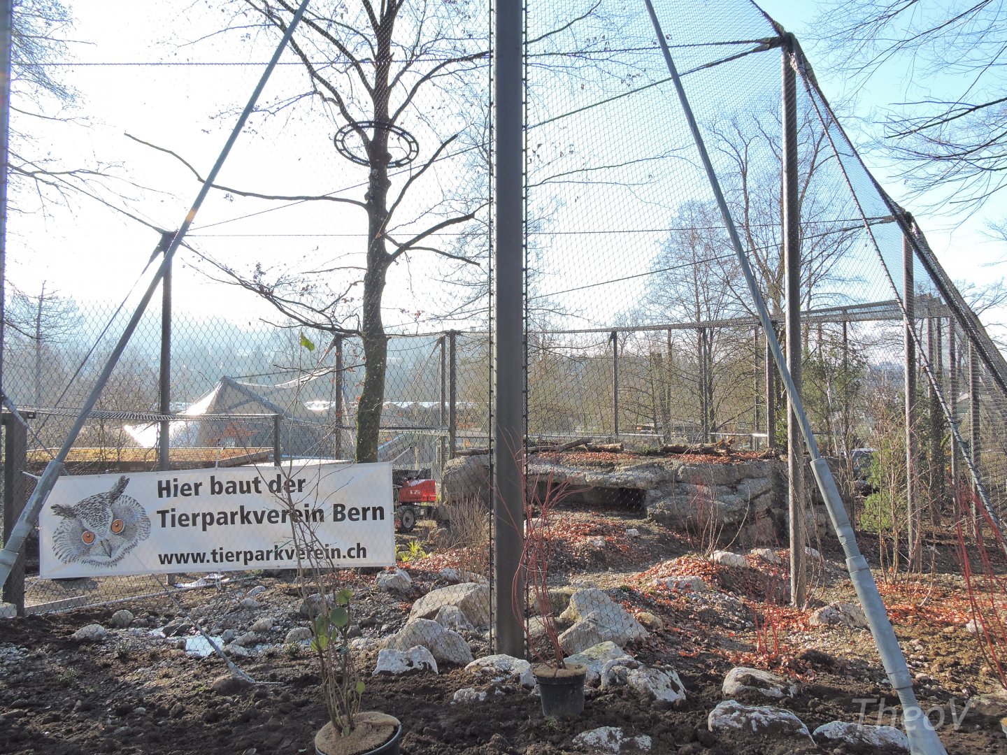 Owl aviary construction [2015]