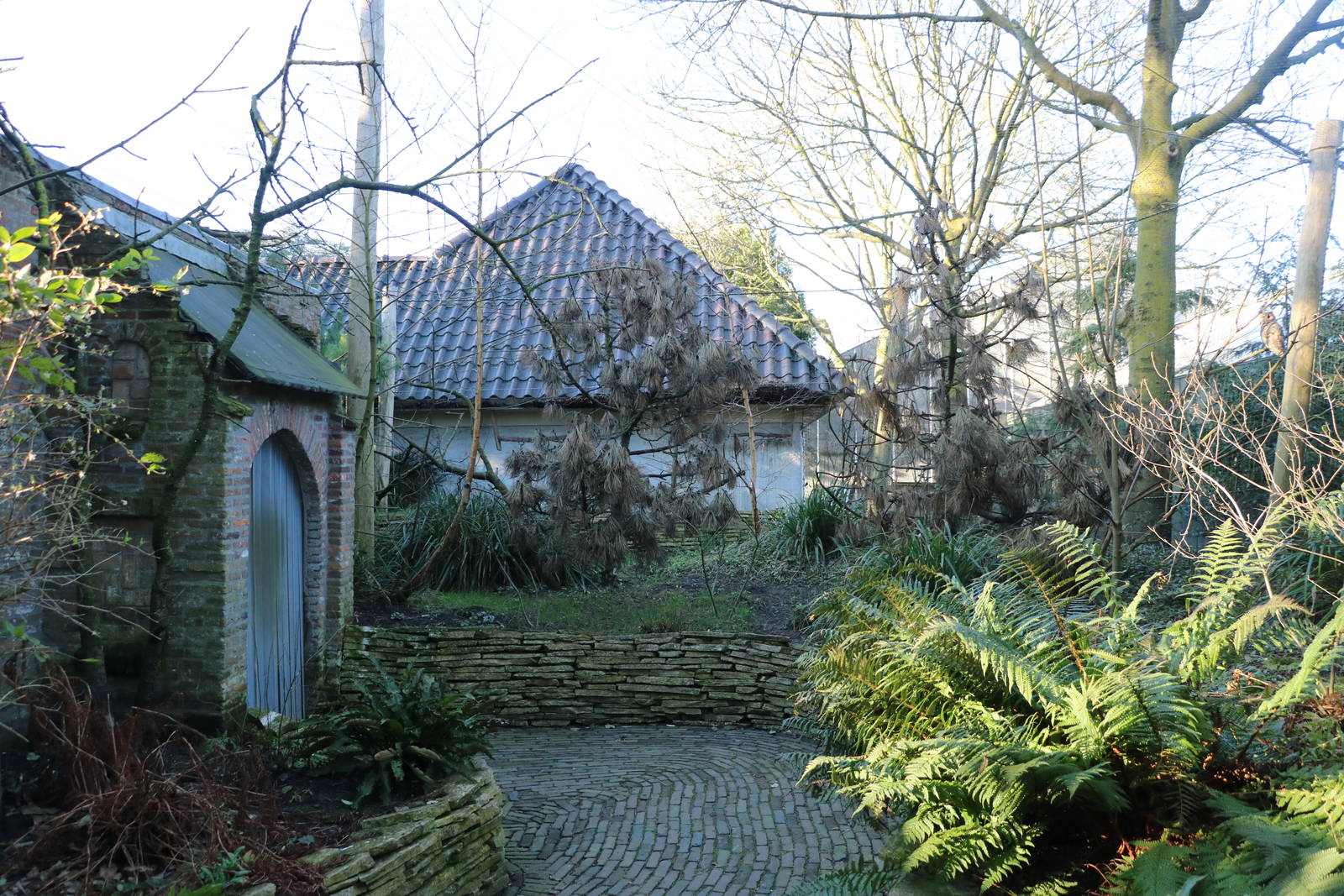 Owl aviary, February 2016