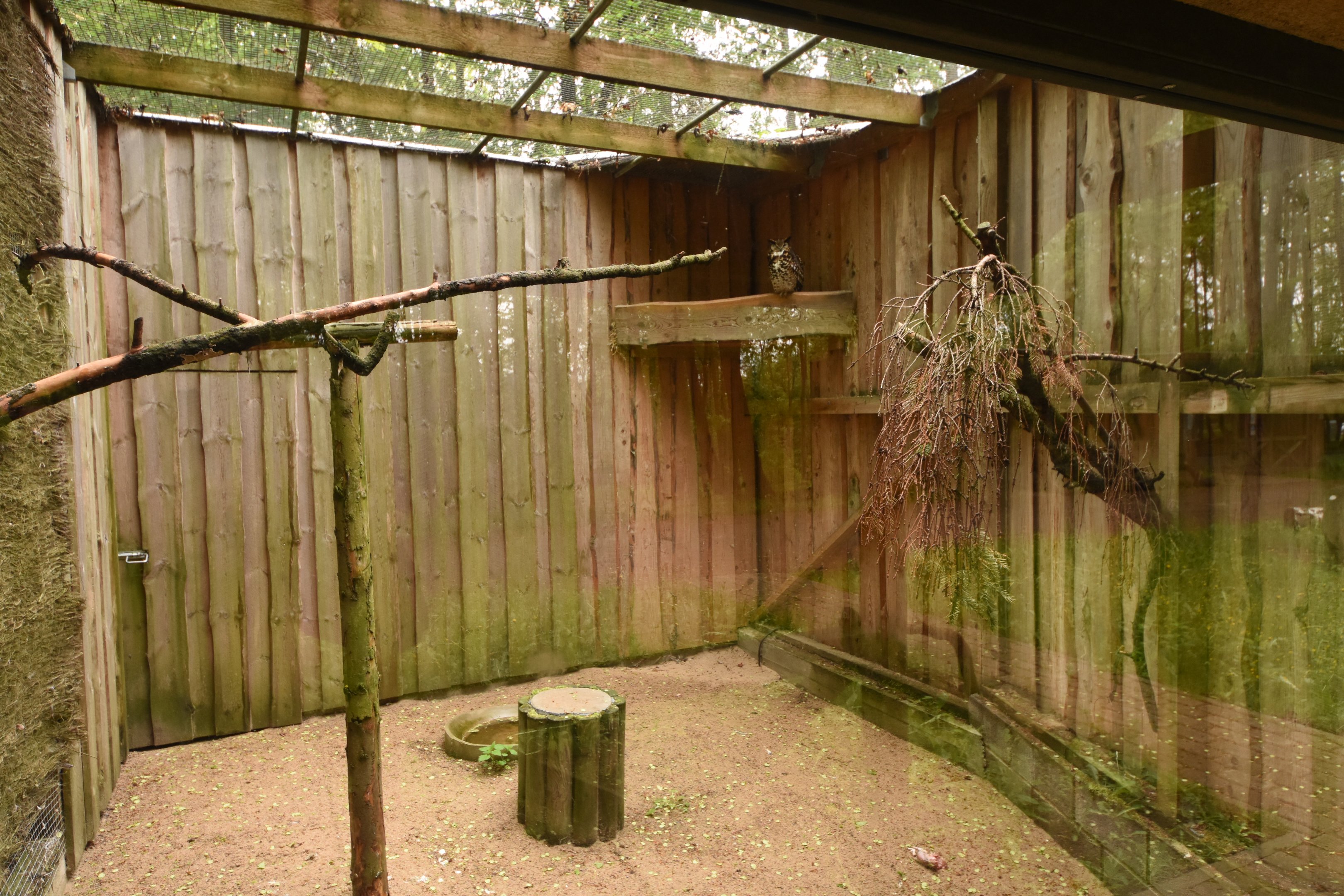 Owl aviary interior