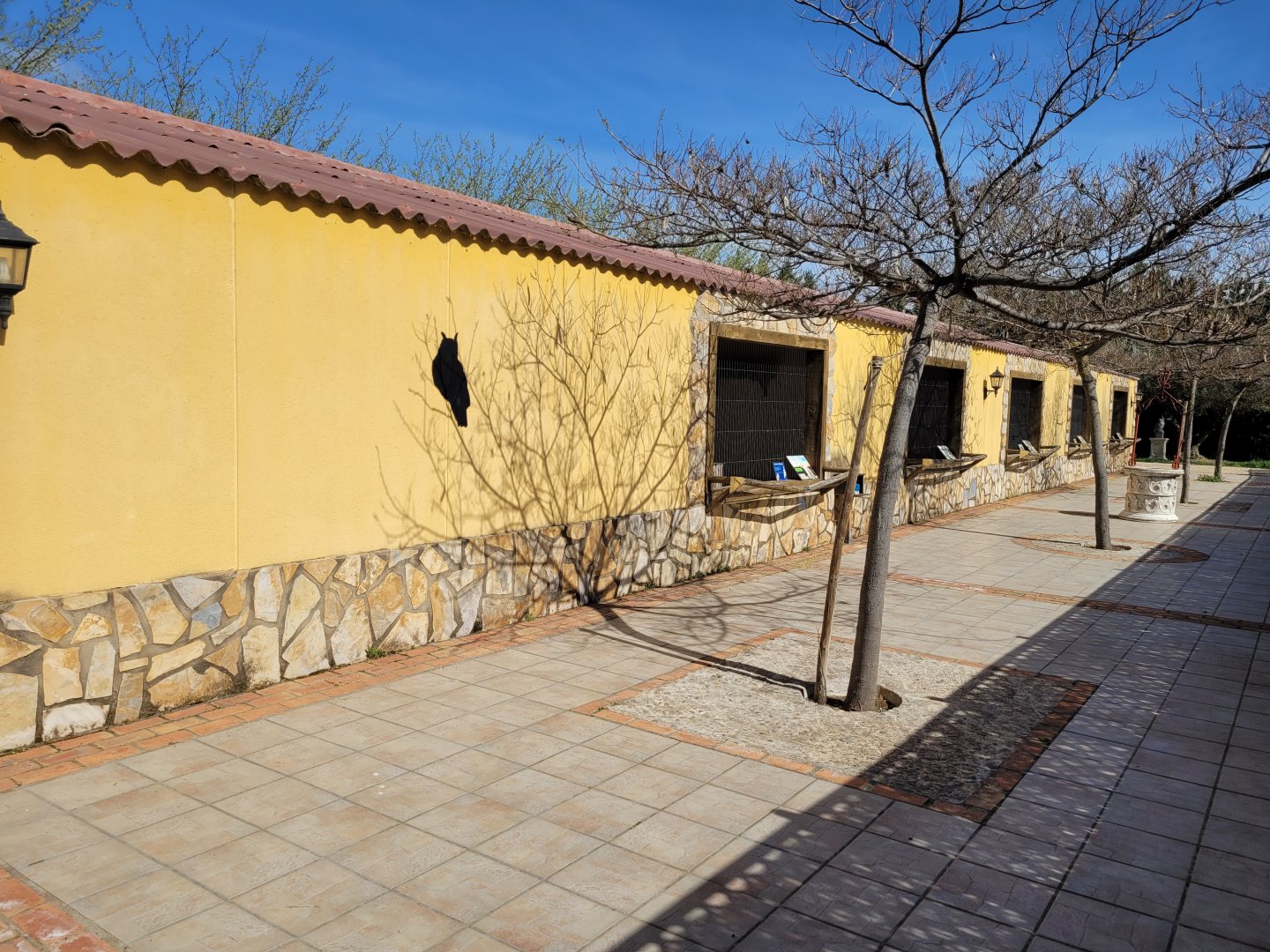 Owl aviary row view -Tierra Rapaz (2024)