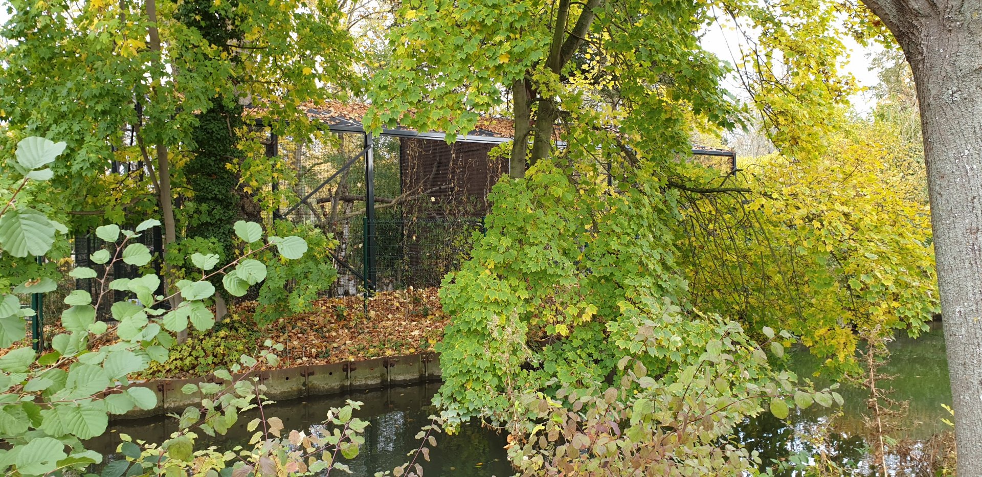 Owl-aviary seen from outside the Zoo