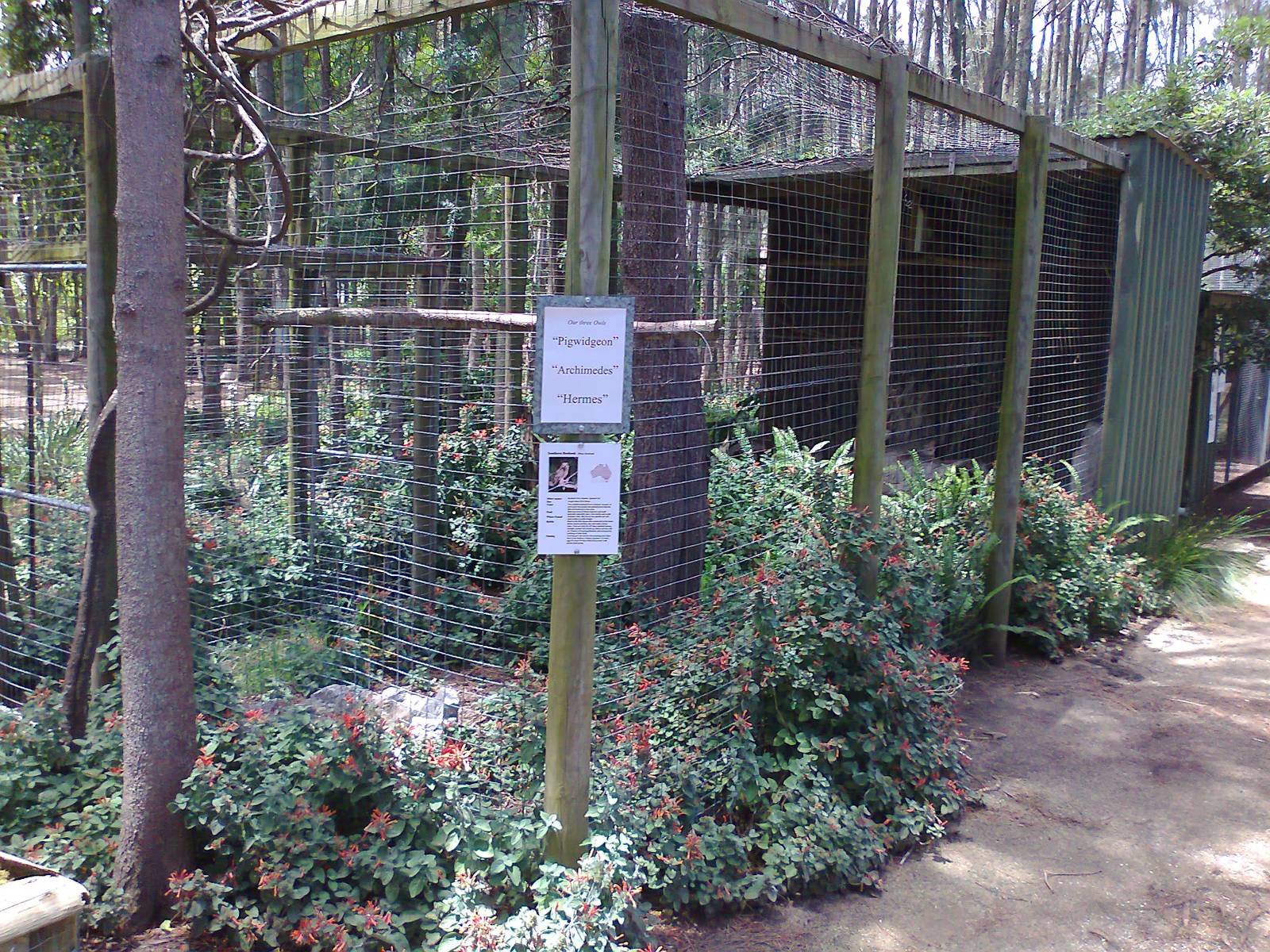 Owl aviary