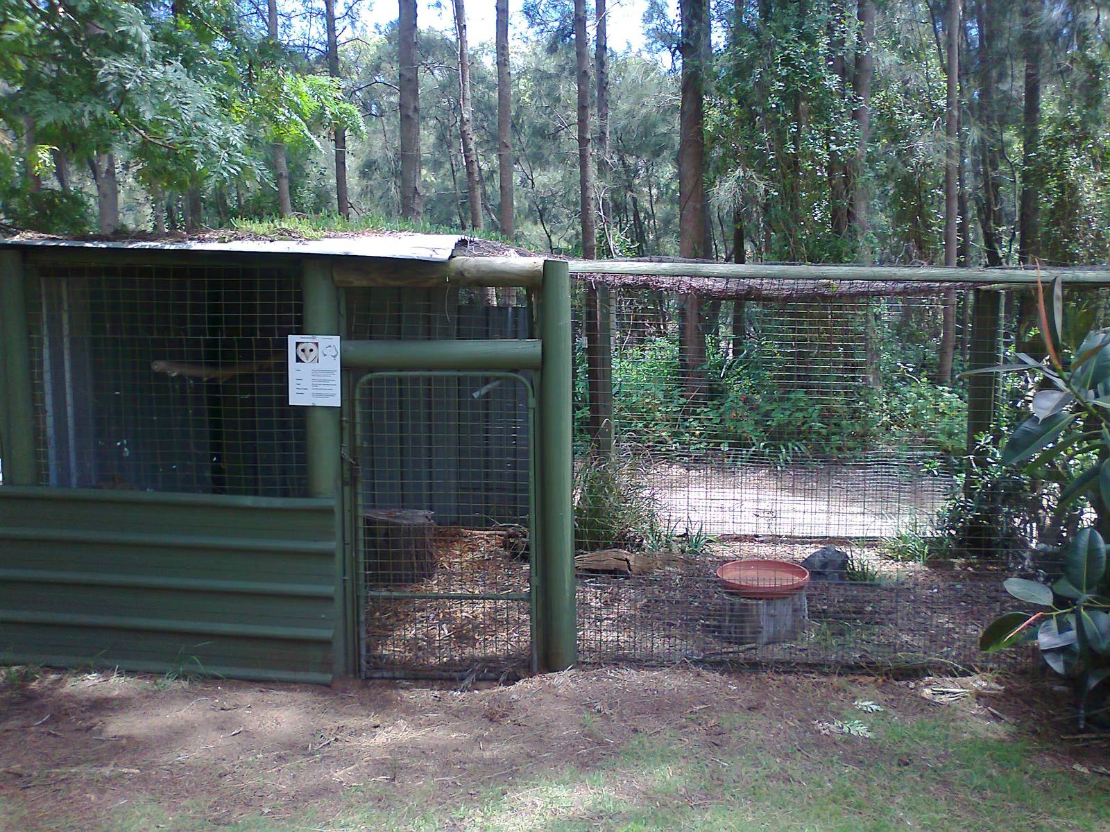 Owl aviary