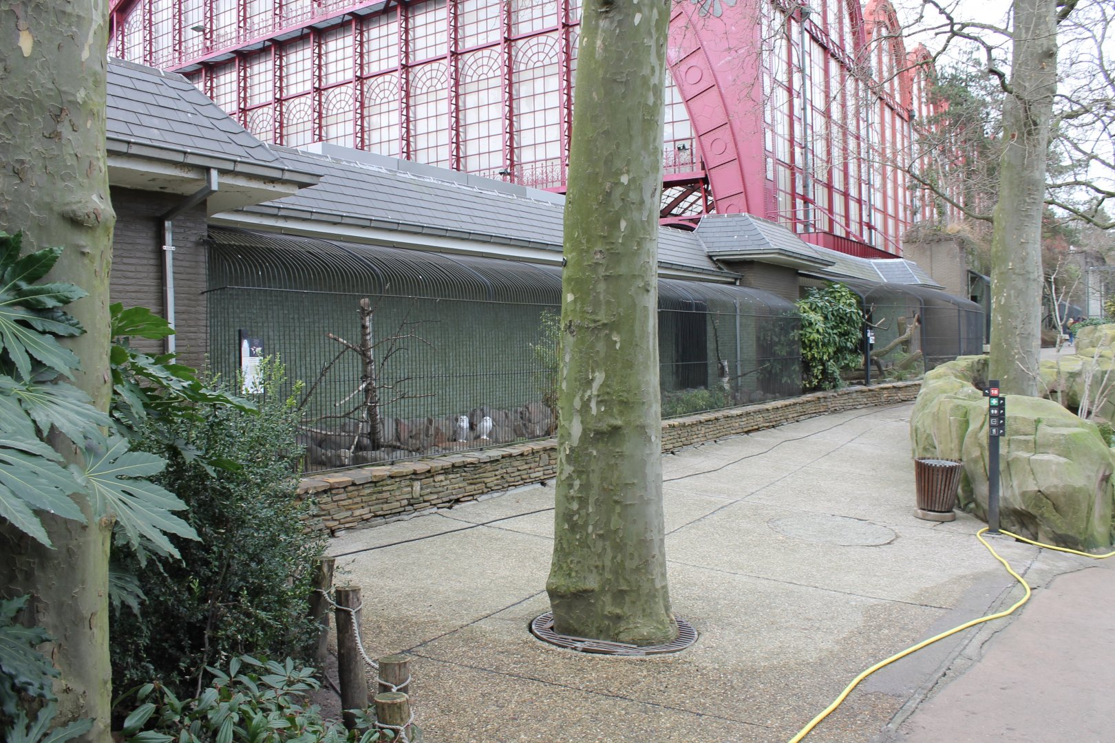 Owl - Bird of prey aviaries