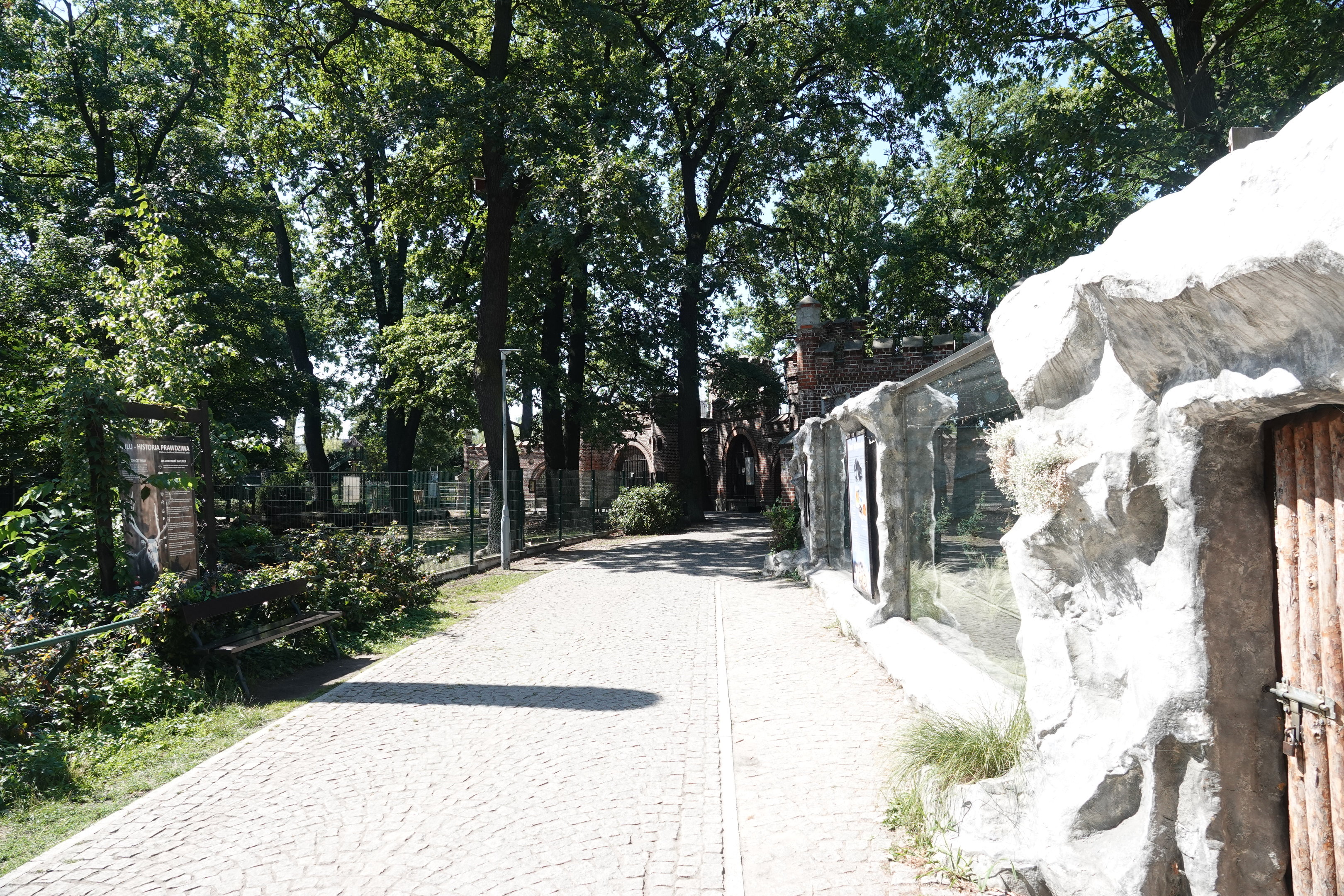 Owl castle and pallas' cat exhibit