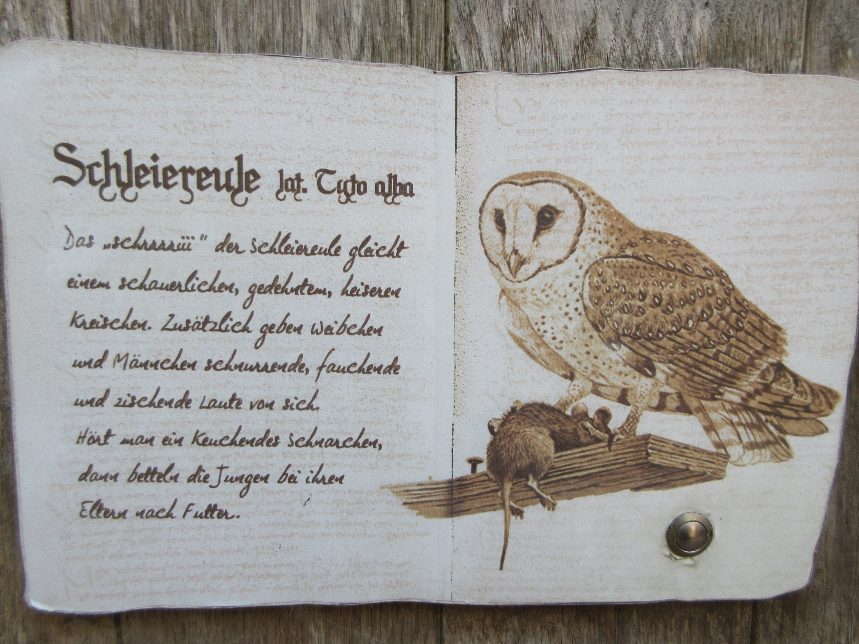 Owl Castle - typical sign