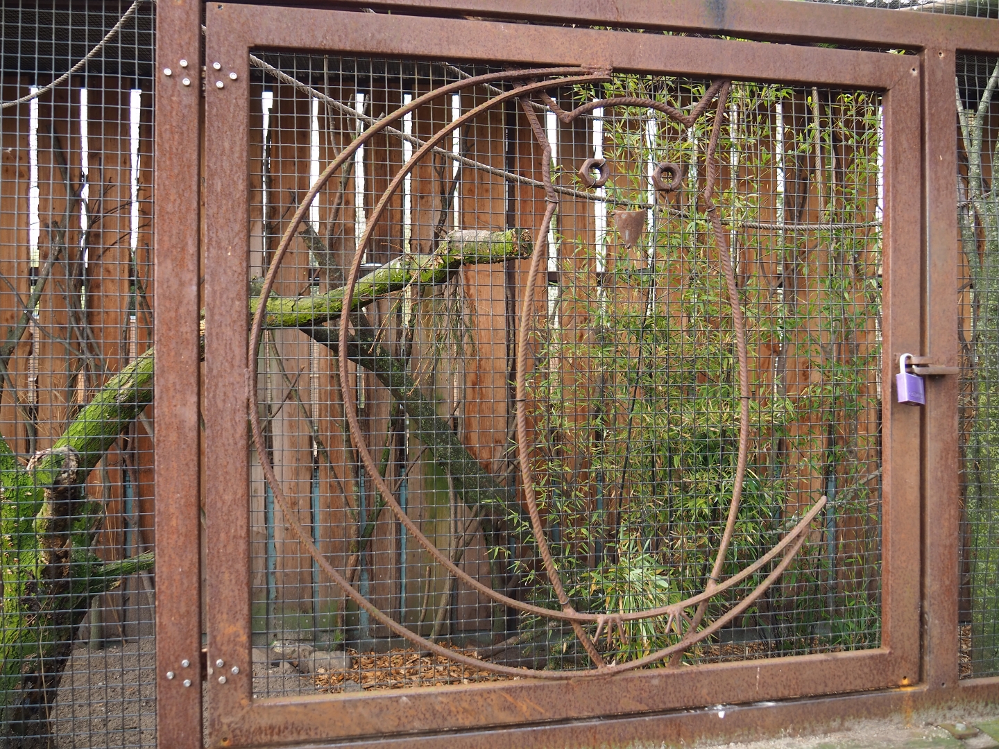 Owl decoration on aviary door, 2019-04-06