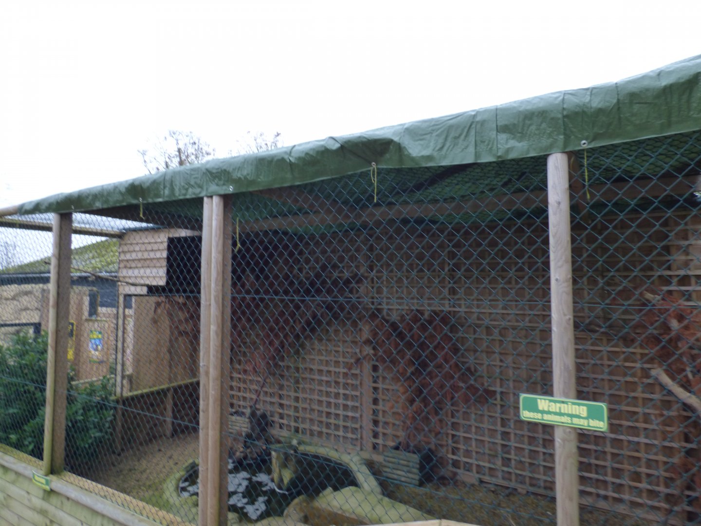 Owl Enclosure