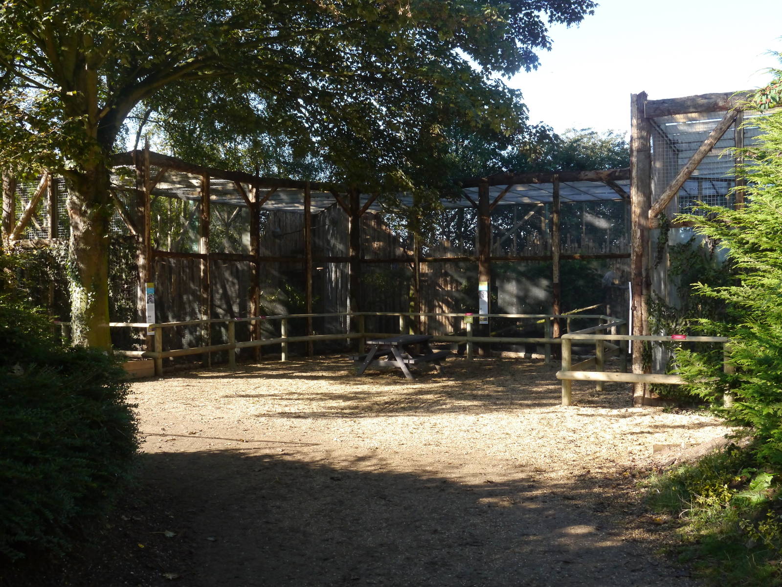Owl Enclosures