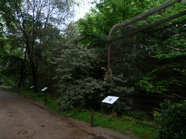 Owl enclosures