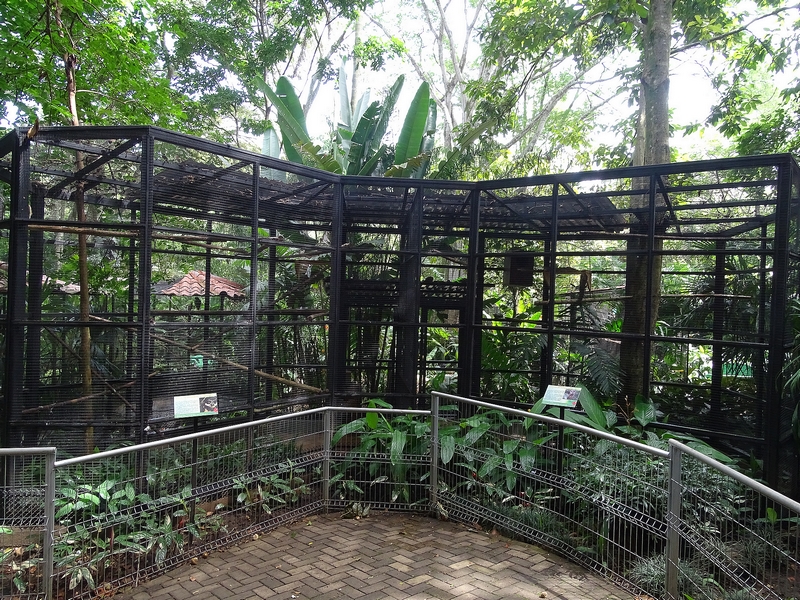 Owl enclosures