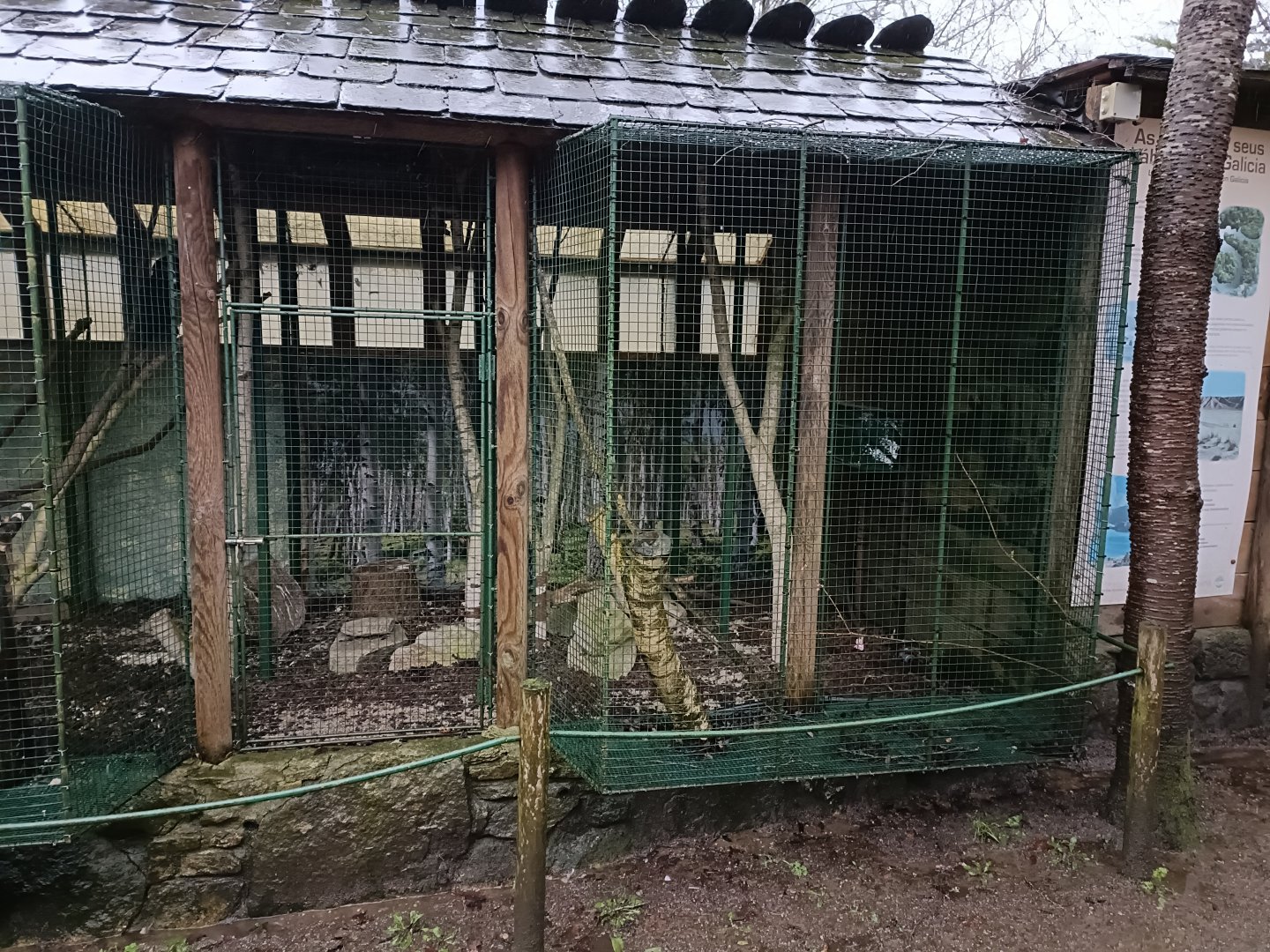 Owl exhibit - Avifauna Lugo