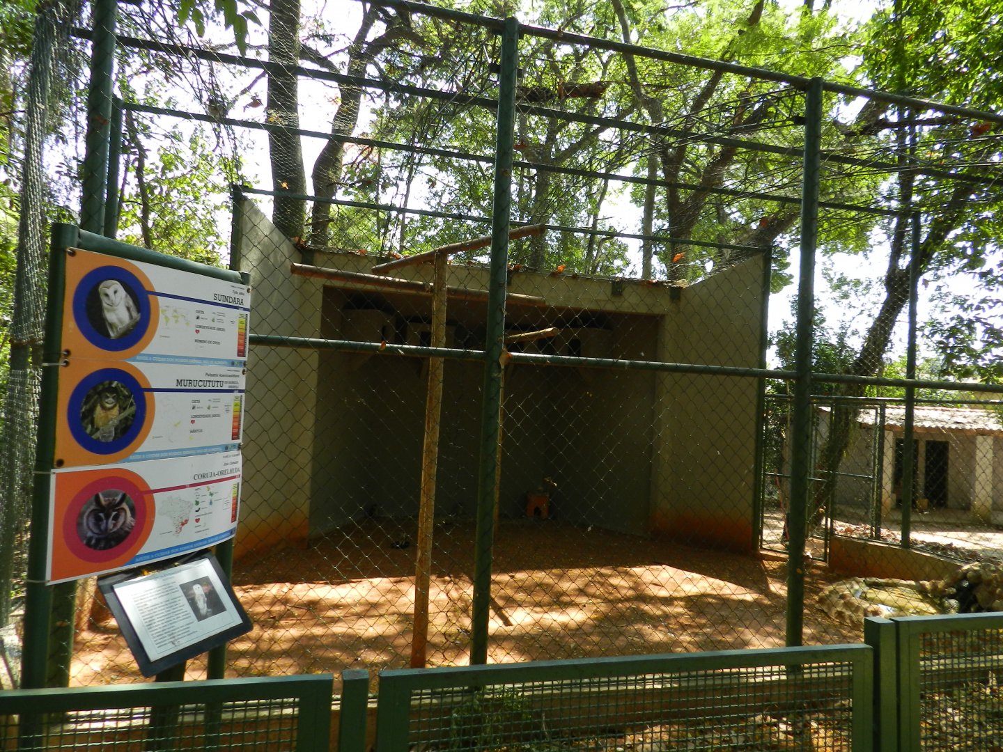 Owl exhibit - Campinas zoo (BDJ)