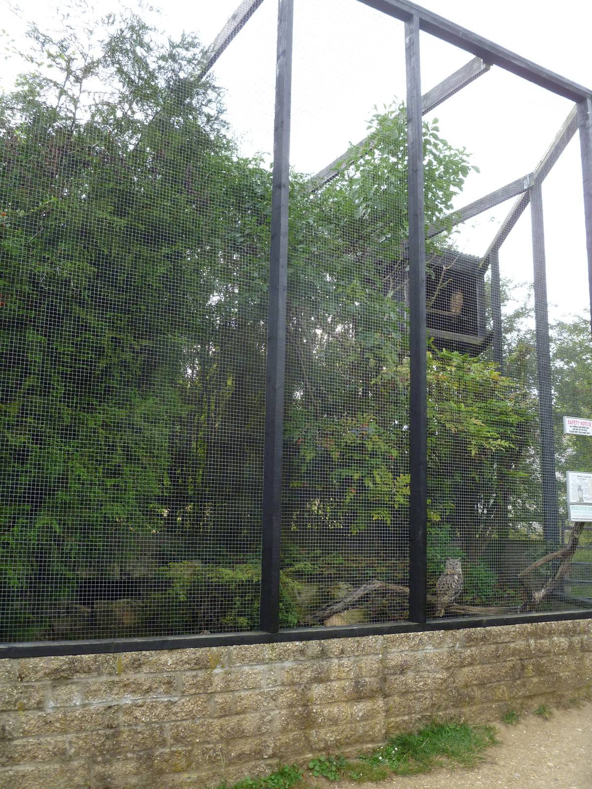 Owl exhibit