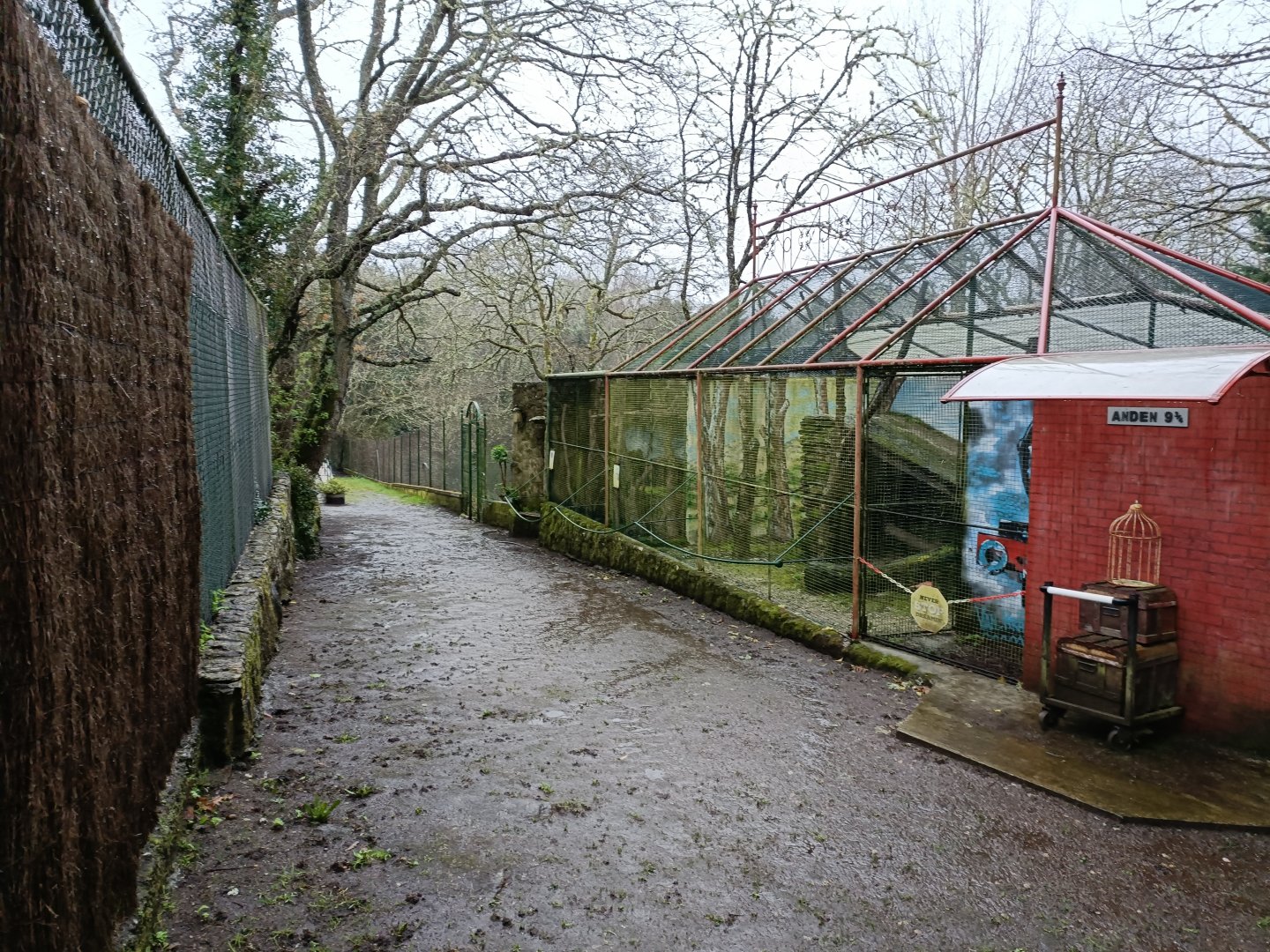 Owl exhibits- Avifauna Lugo