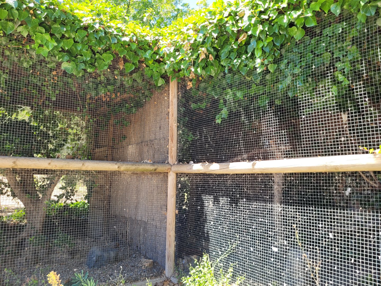 Owl exhibits -Sendaviva (2024)