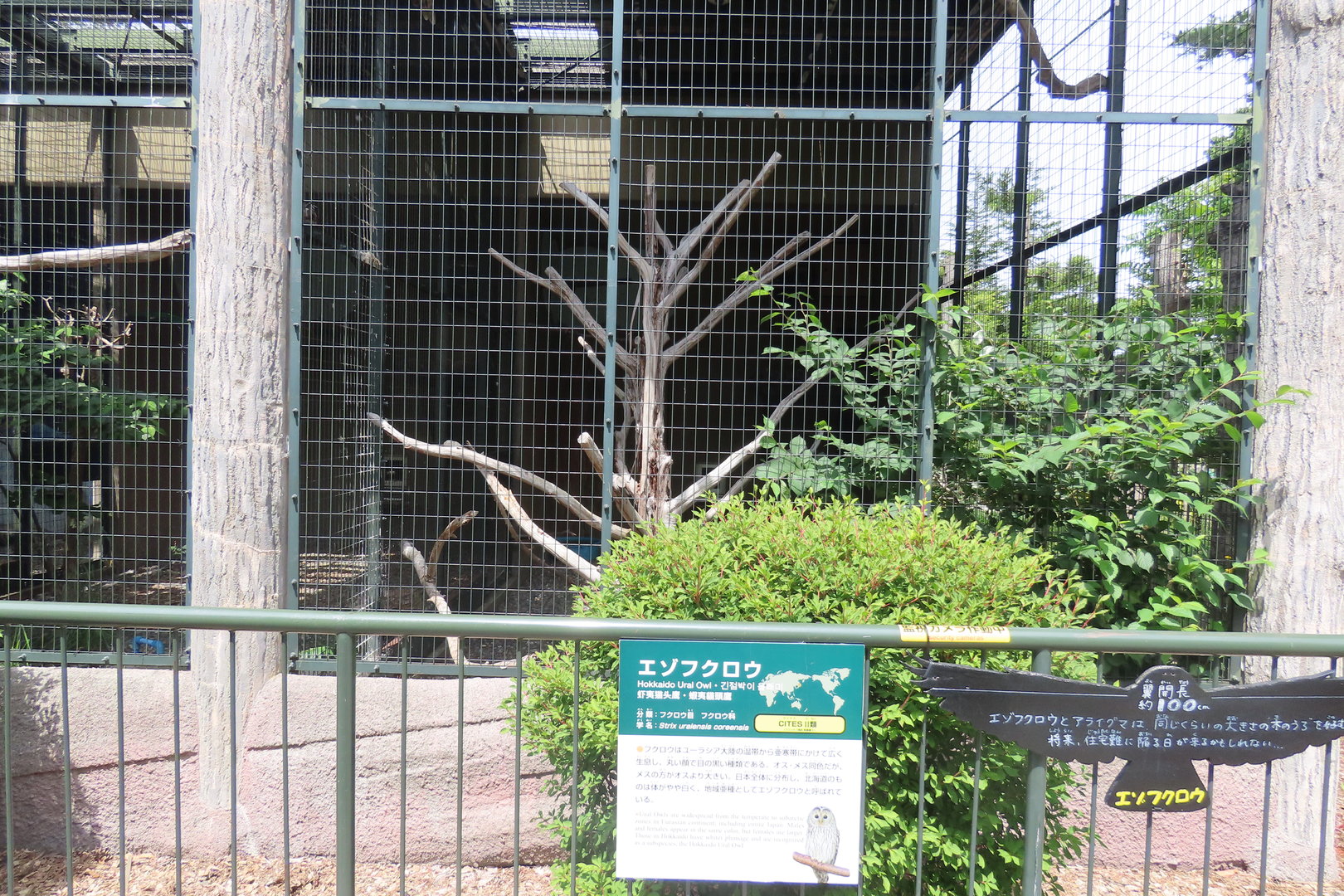Owl exhibits