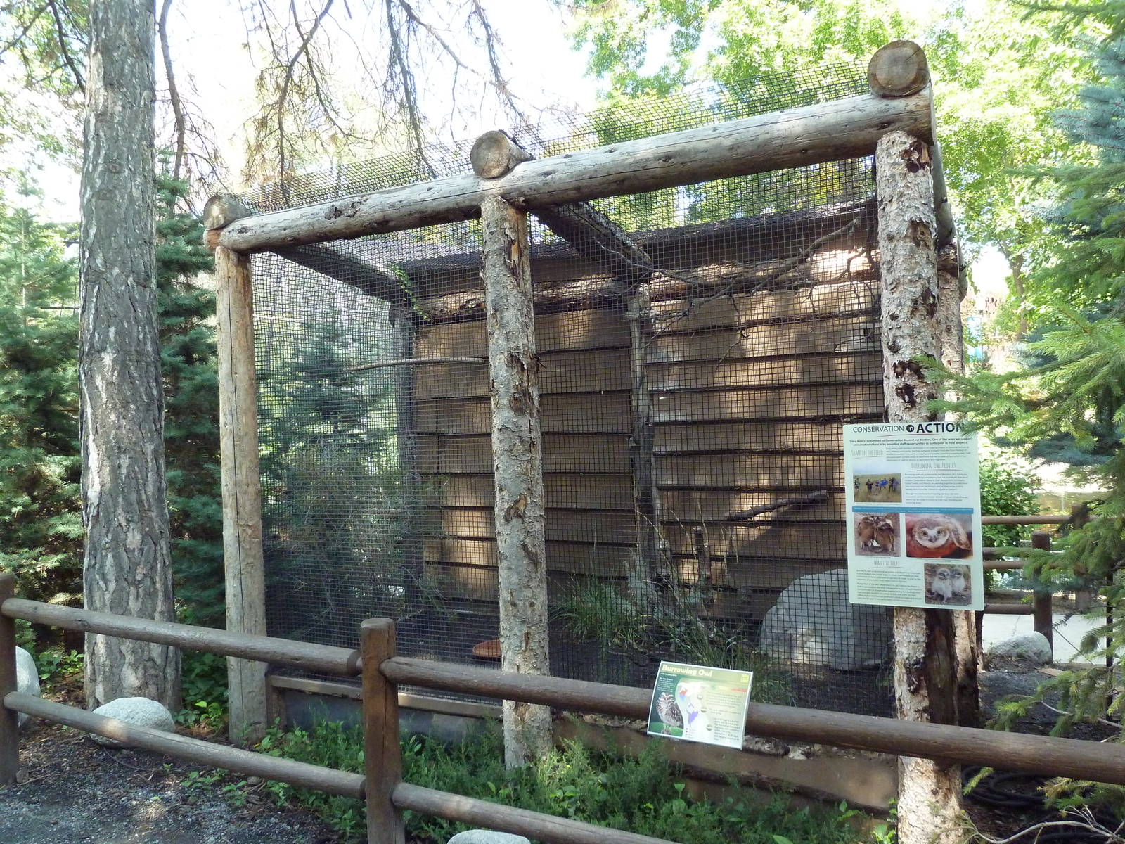 Owl Forest - Burrowing Owl Aviary