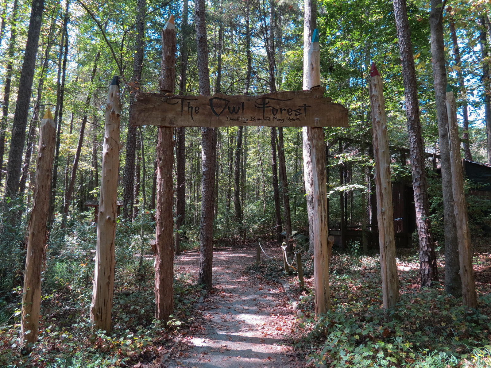 Owl Forest Exhibits Entrance
