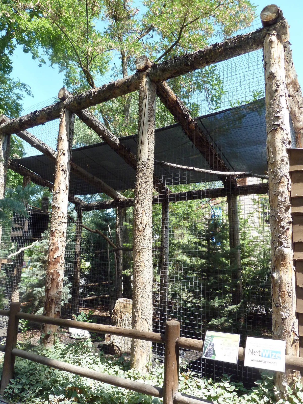 Owl Forest - Great Grey Owl Aviary