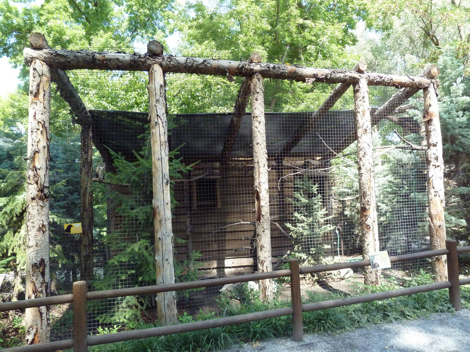 Owl Forest - Great Horned Owl Aviary
