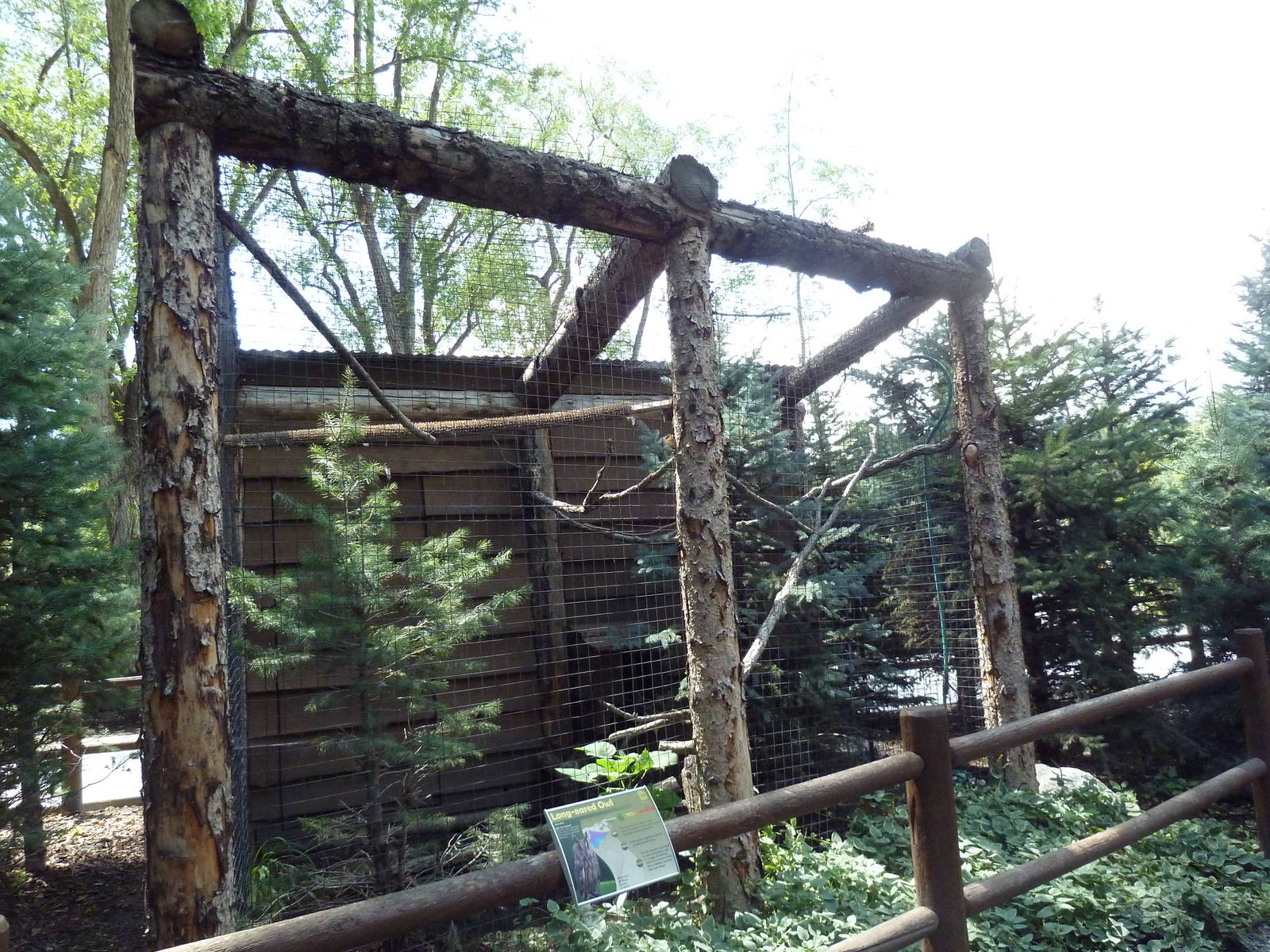 Owl Forest - Long-Eared Owl Aviary