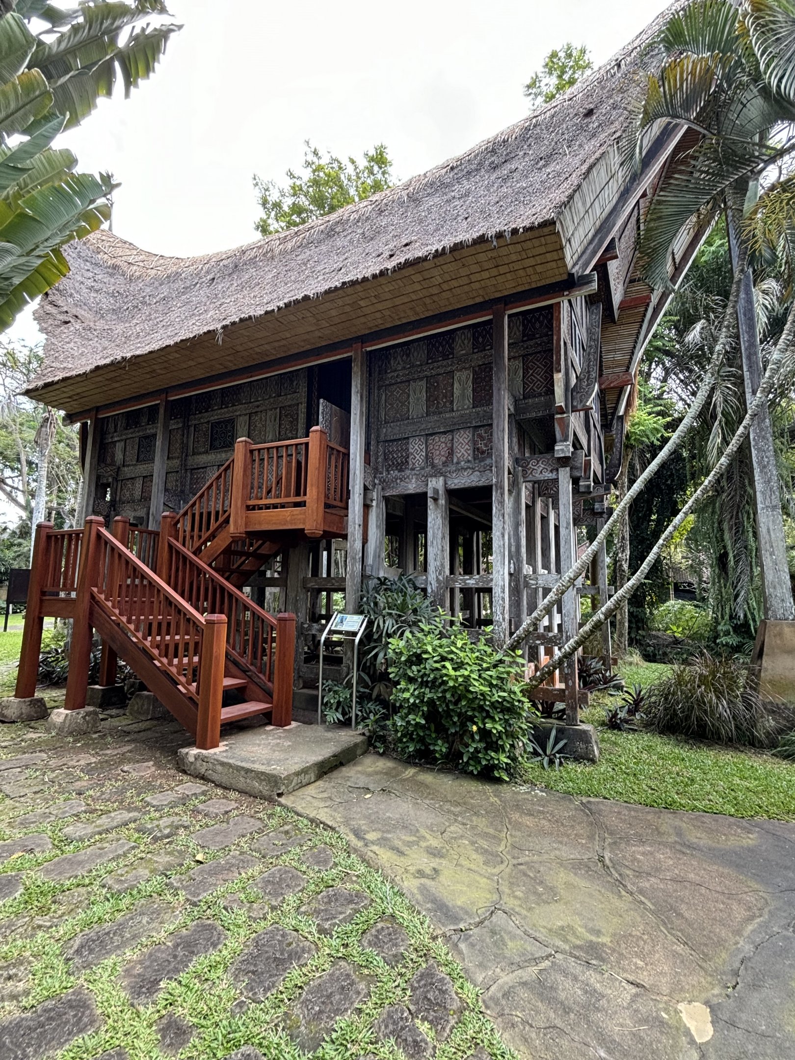 Owl House (4 species)