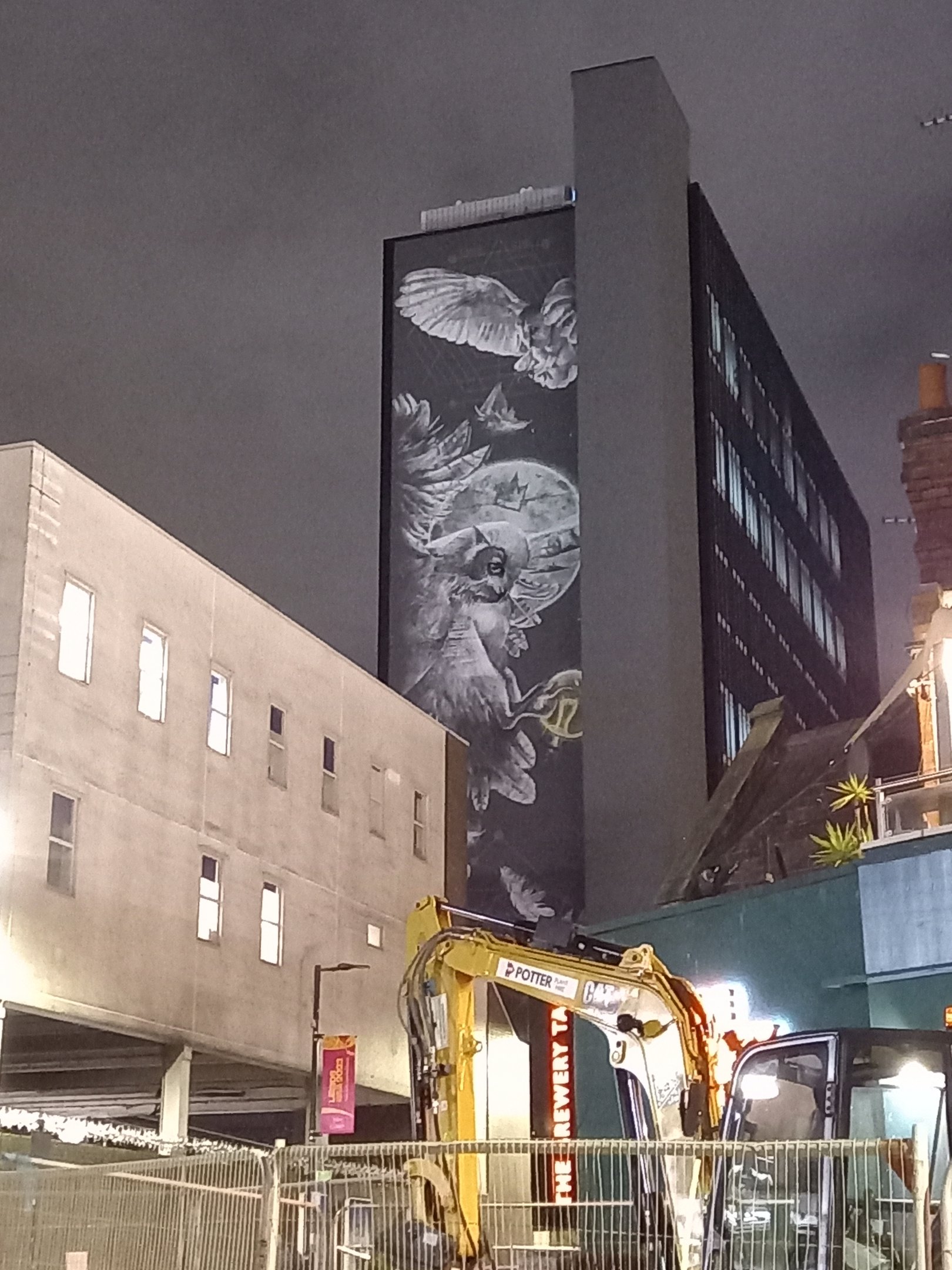 Owl mural - Leeds train station