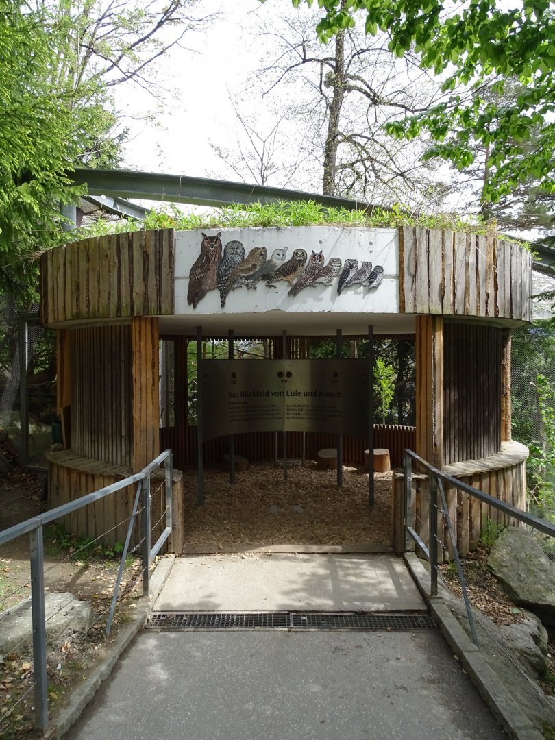 Owl observation cabin