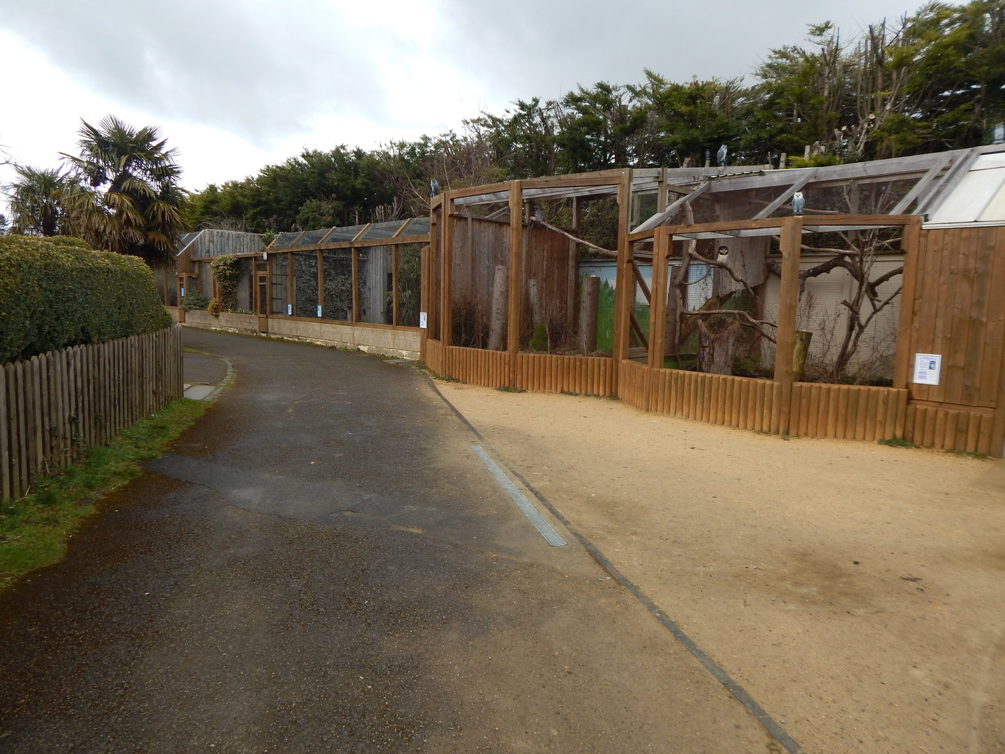 Owl Parliament and mixed aviaries 010323