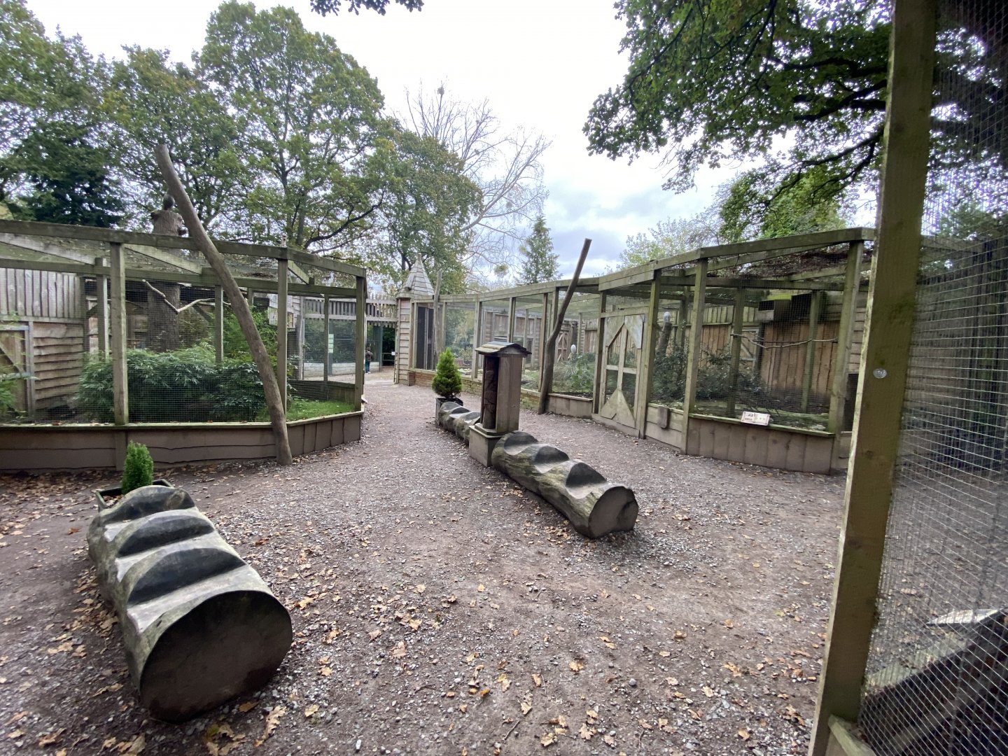 Owl Parliament - aviaries 061121