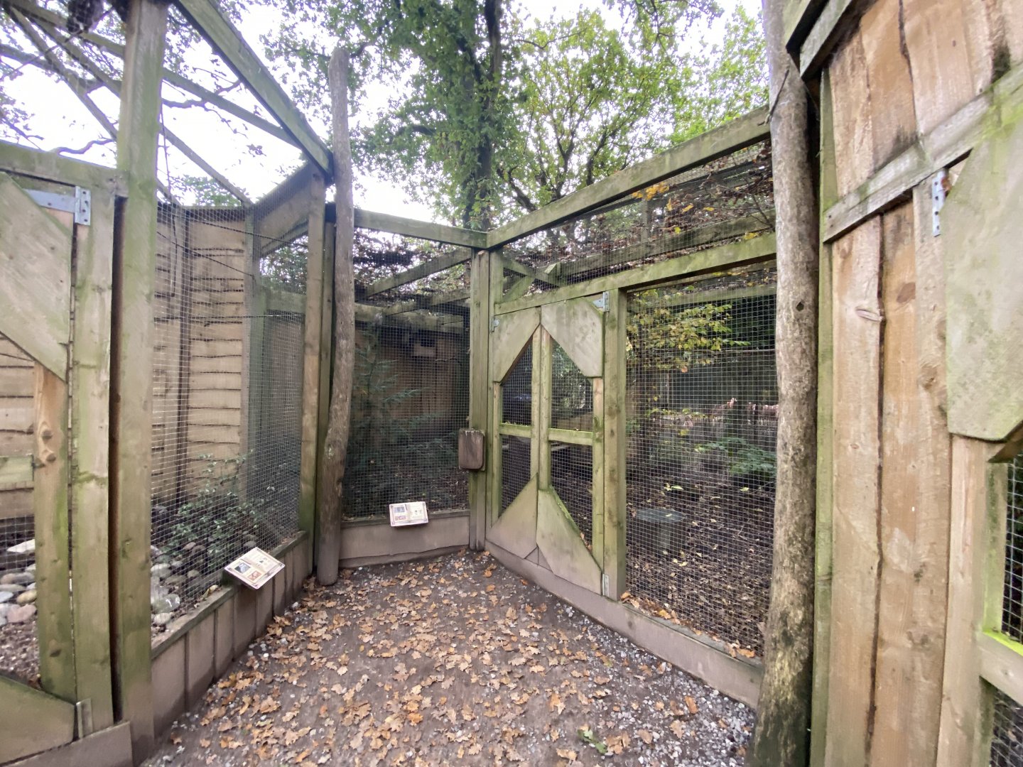 Owl Parliament - aviaries 061121