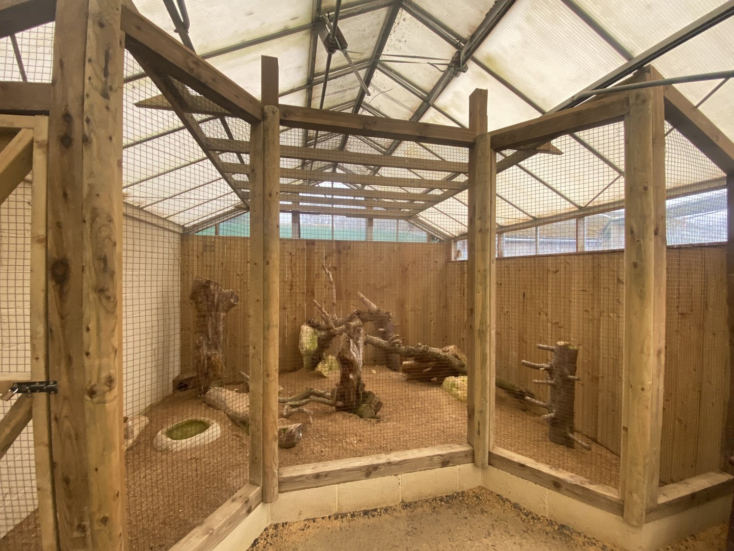 Owl Parliament - Burrowing owl aviary 010323