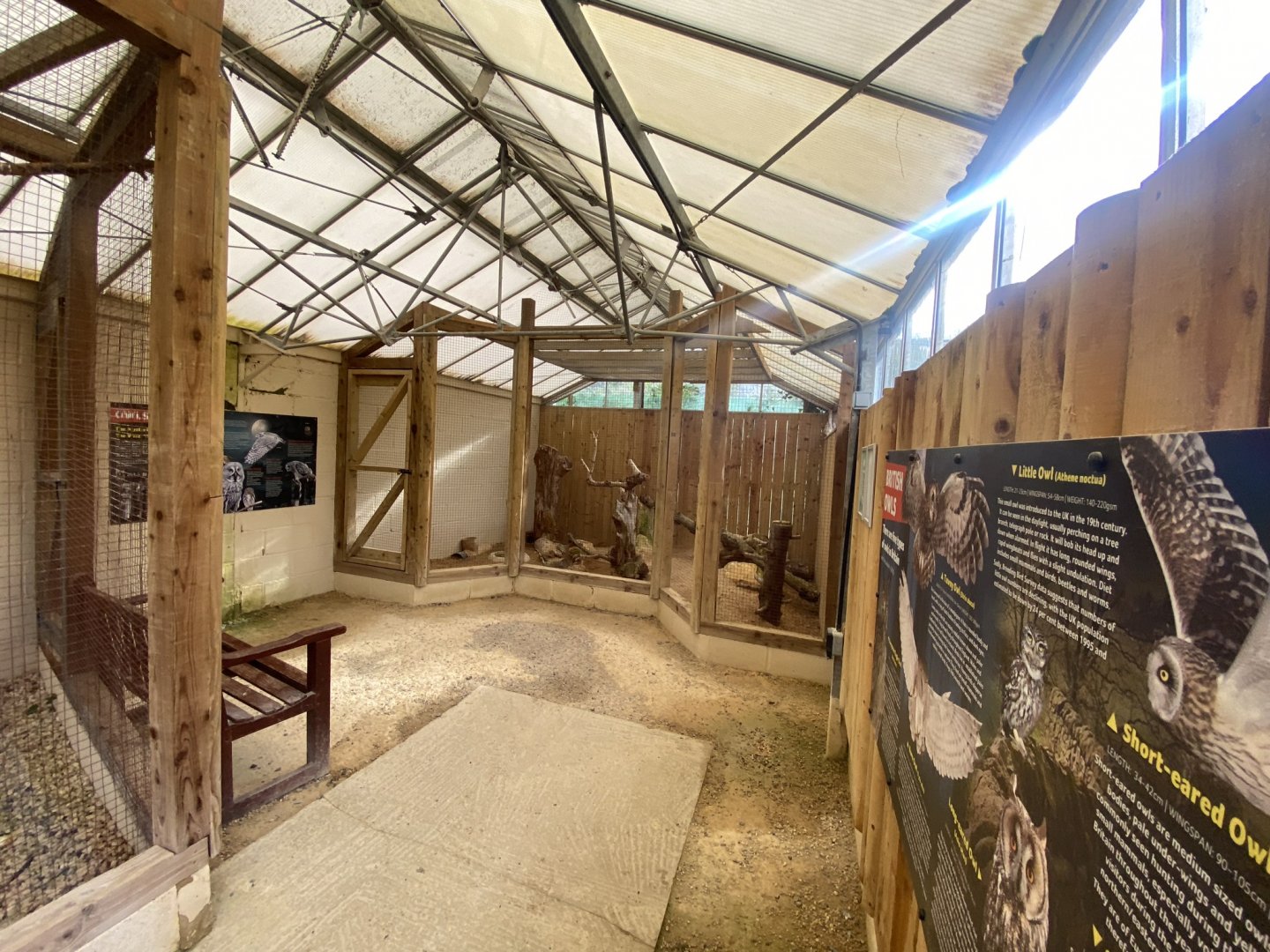 Owl Parliament - Burrowing owl aviary 241023