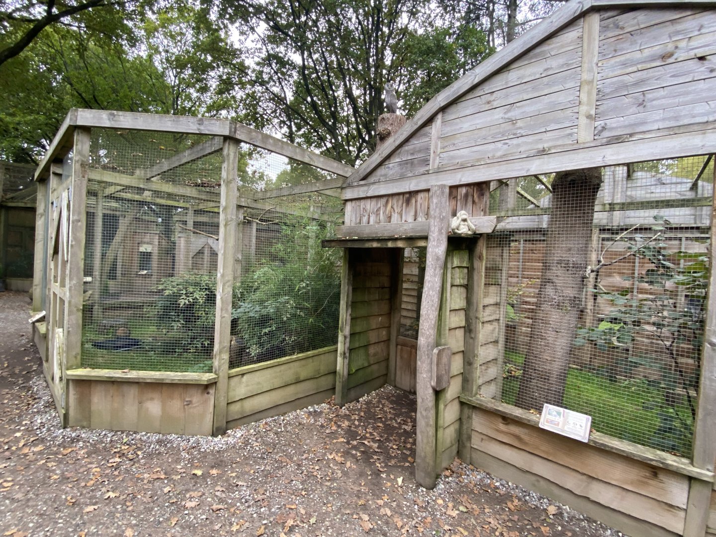 Owl Parliament - owl aviaries 061121