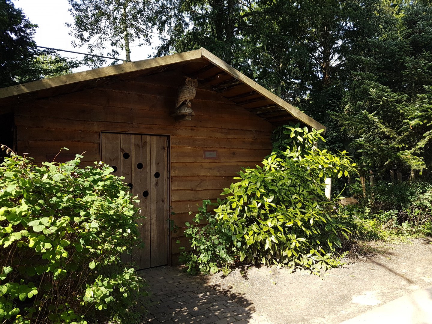 Owl-shed