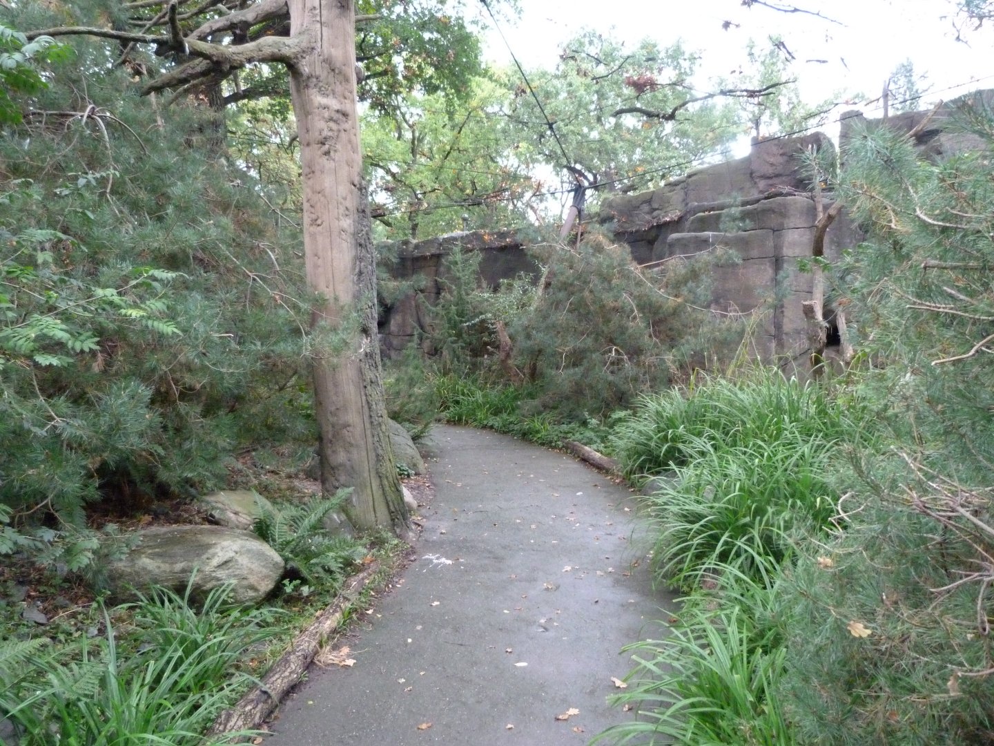Owl walk-through aviary -Zoologischer Garten Berlin (2024)