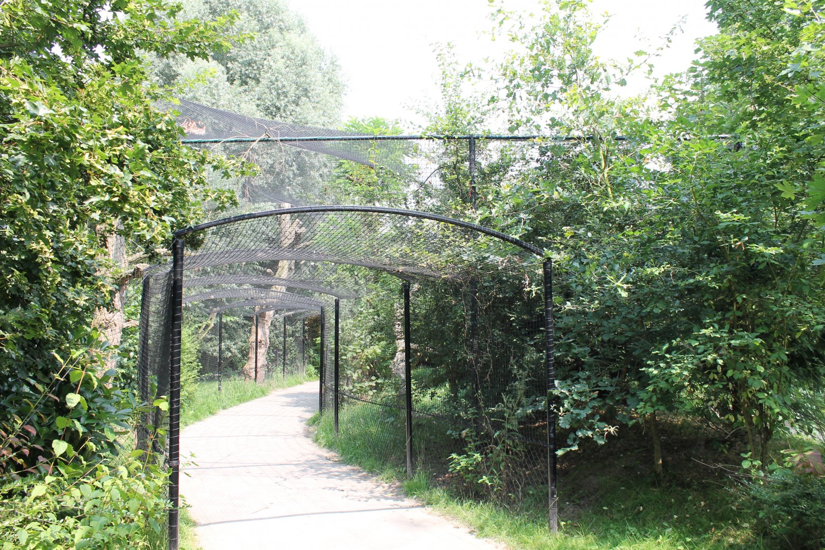 Owl-walk-through aviary