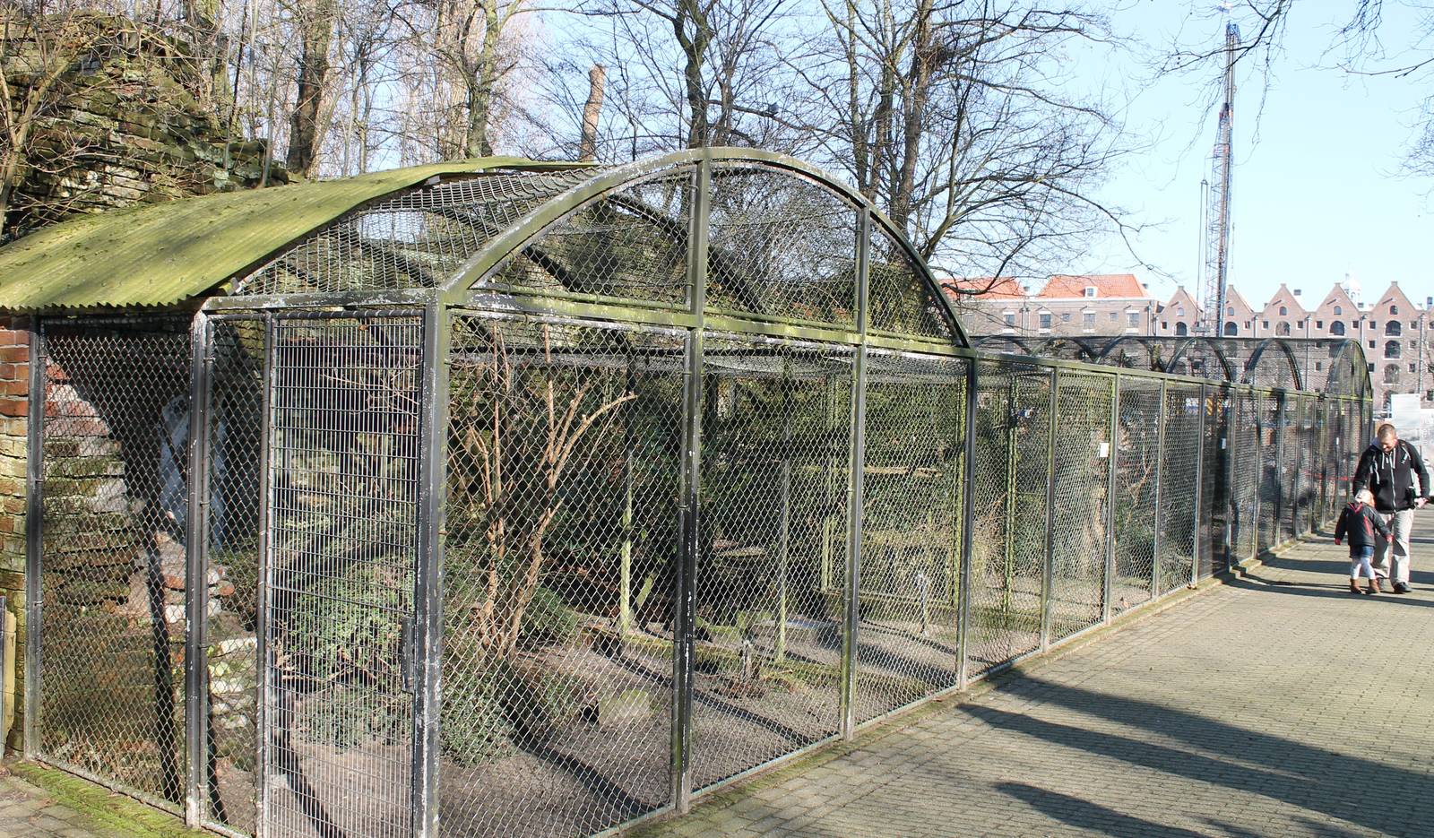 Owls and Bird of prey aviaries